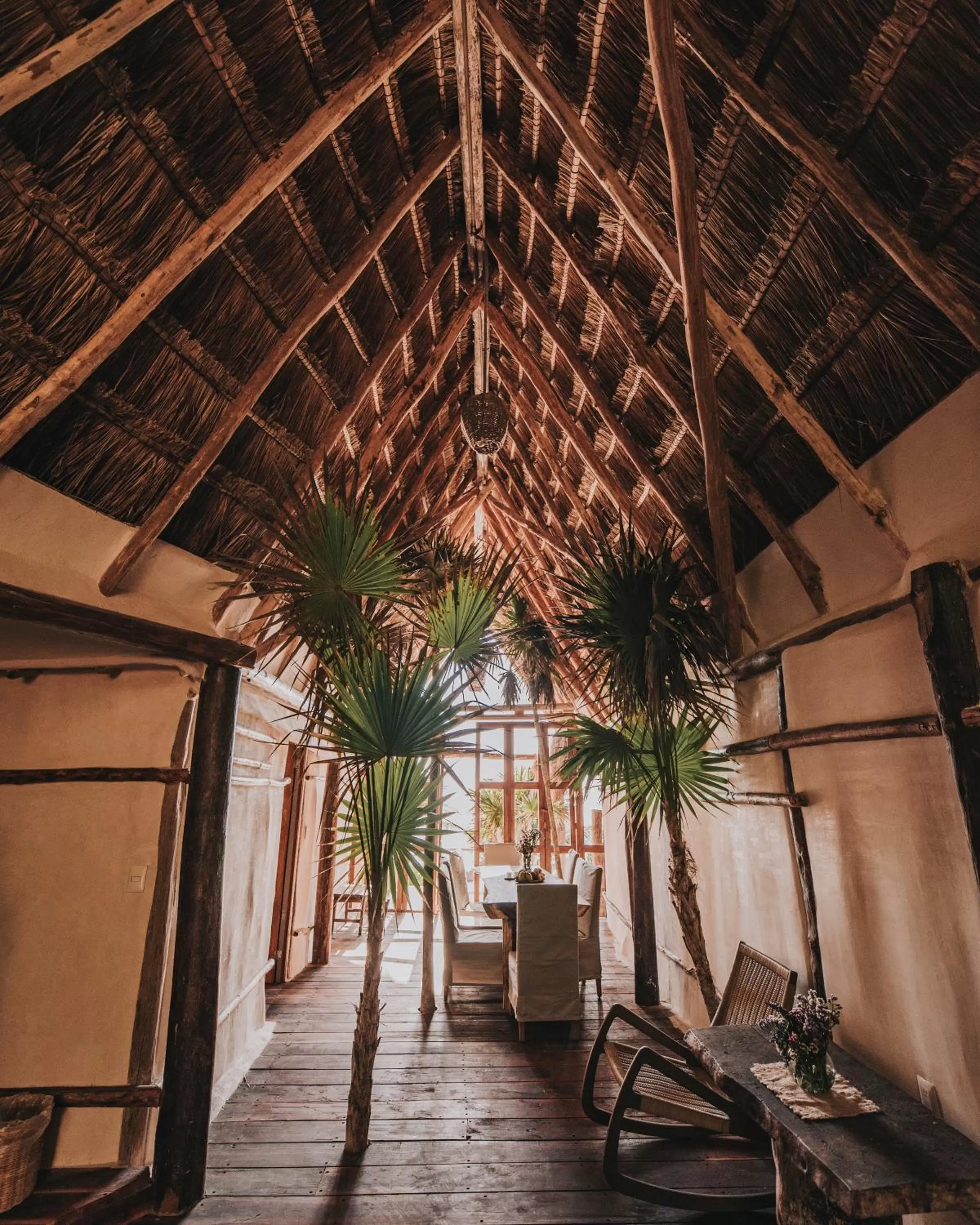 Area and facilities in Papaya Playa Project, Tulum, a Member of Design Hotels