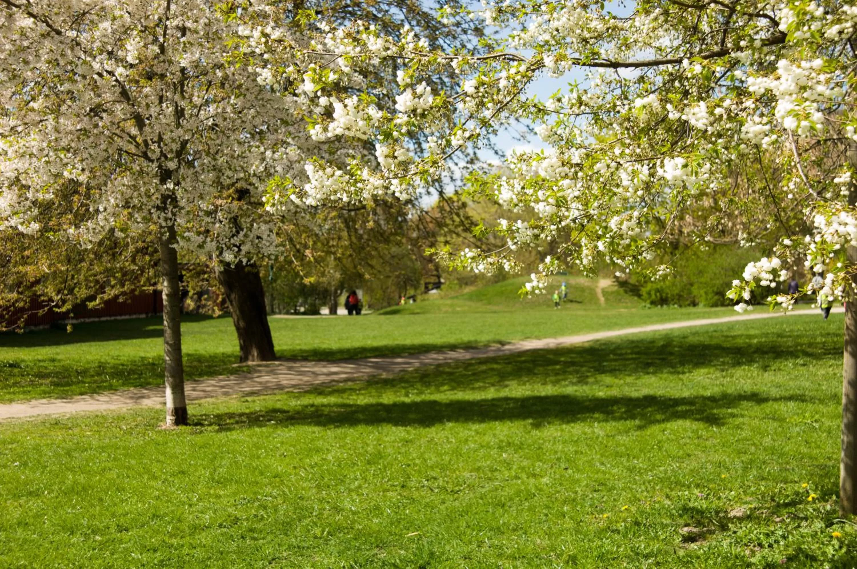 Spring, Garden in STF Hotel Zinkensdamm