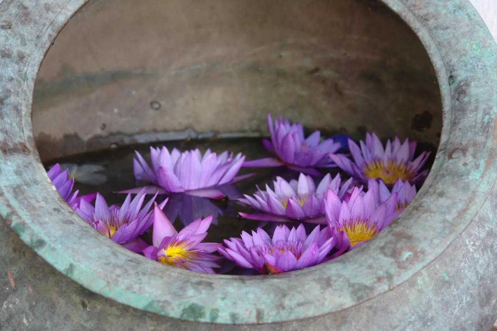 Text overlay in Galawatta Beach Resort