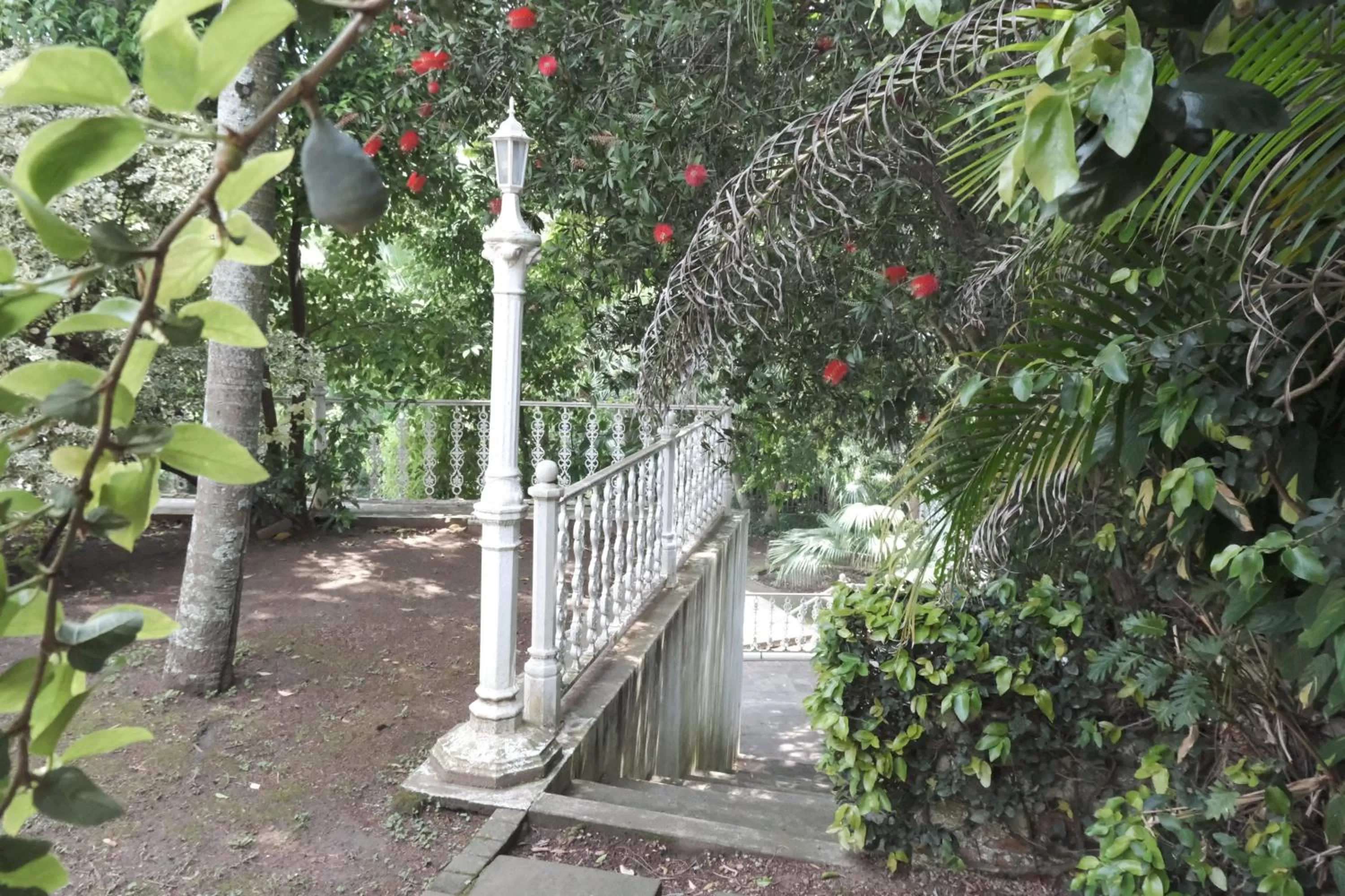 Garden in The Whitehouse Bed and Breakfast