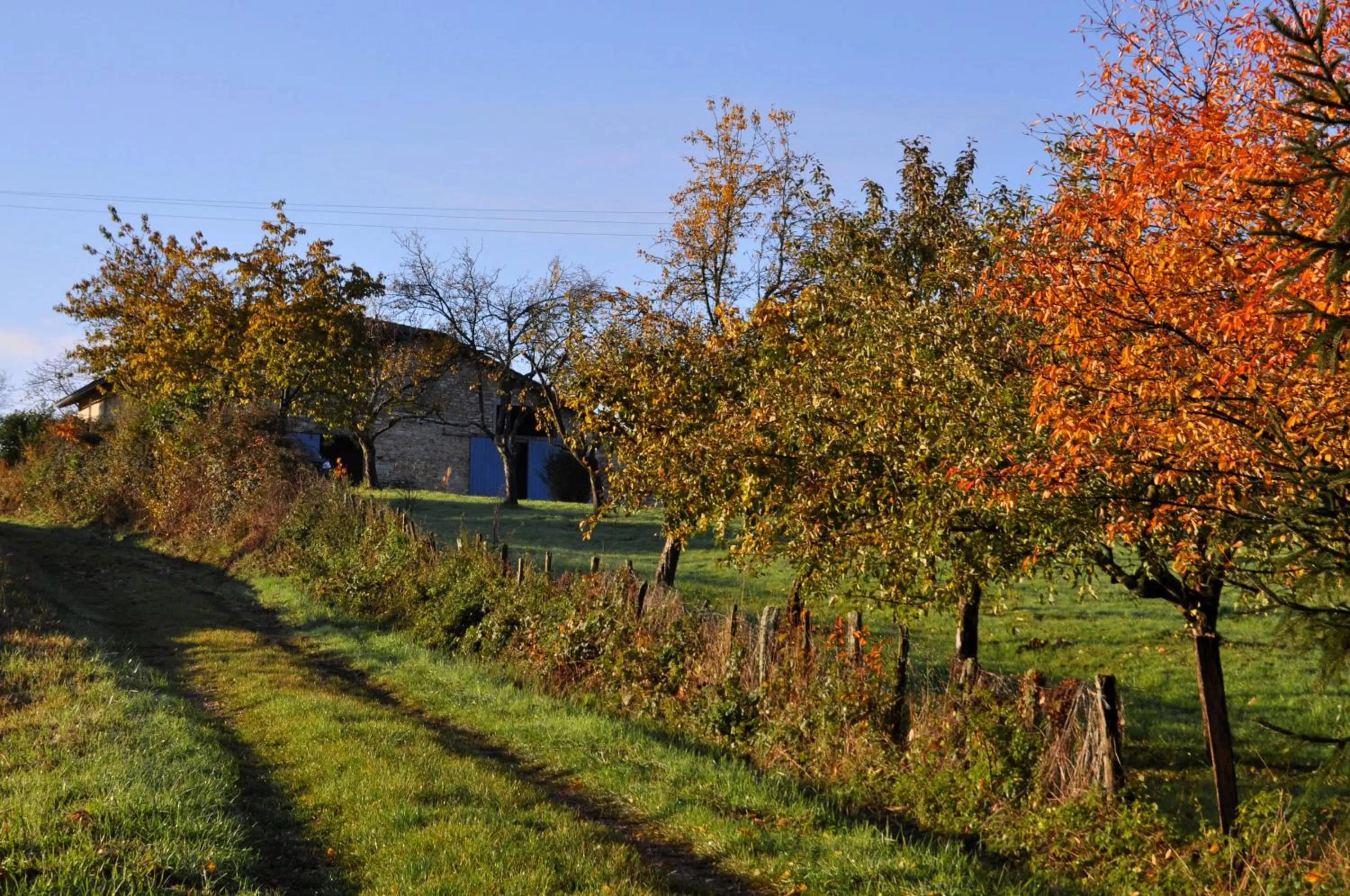 Garden in Terres de la Grange B&B