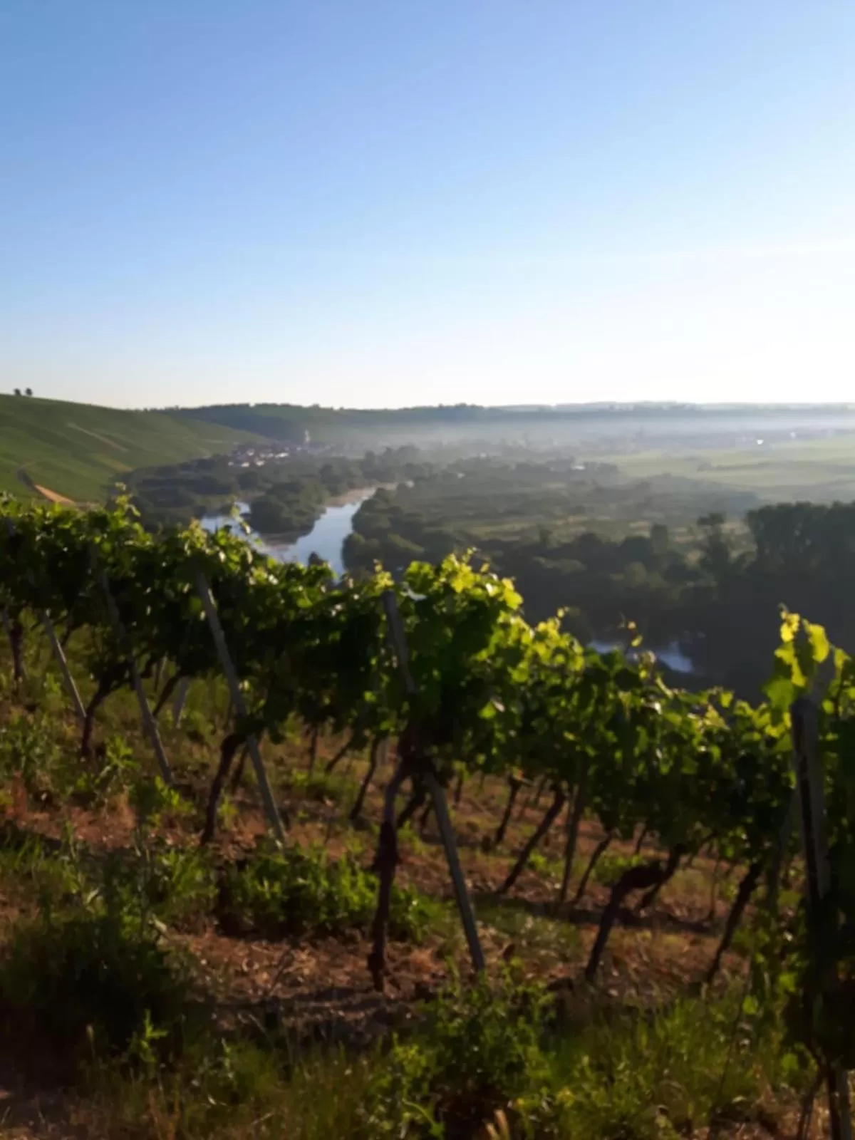 Natural landscape in Aparthotel Alte Schmiede Dettelbach
