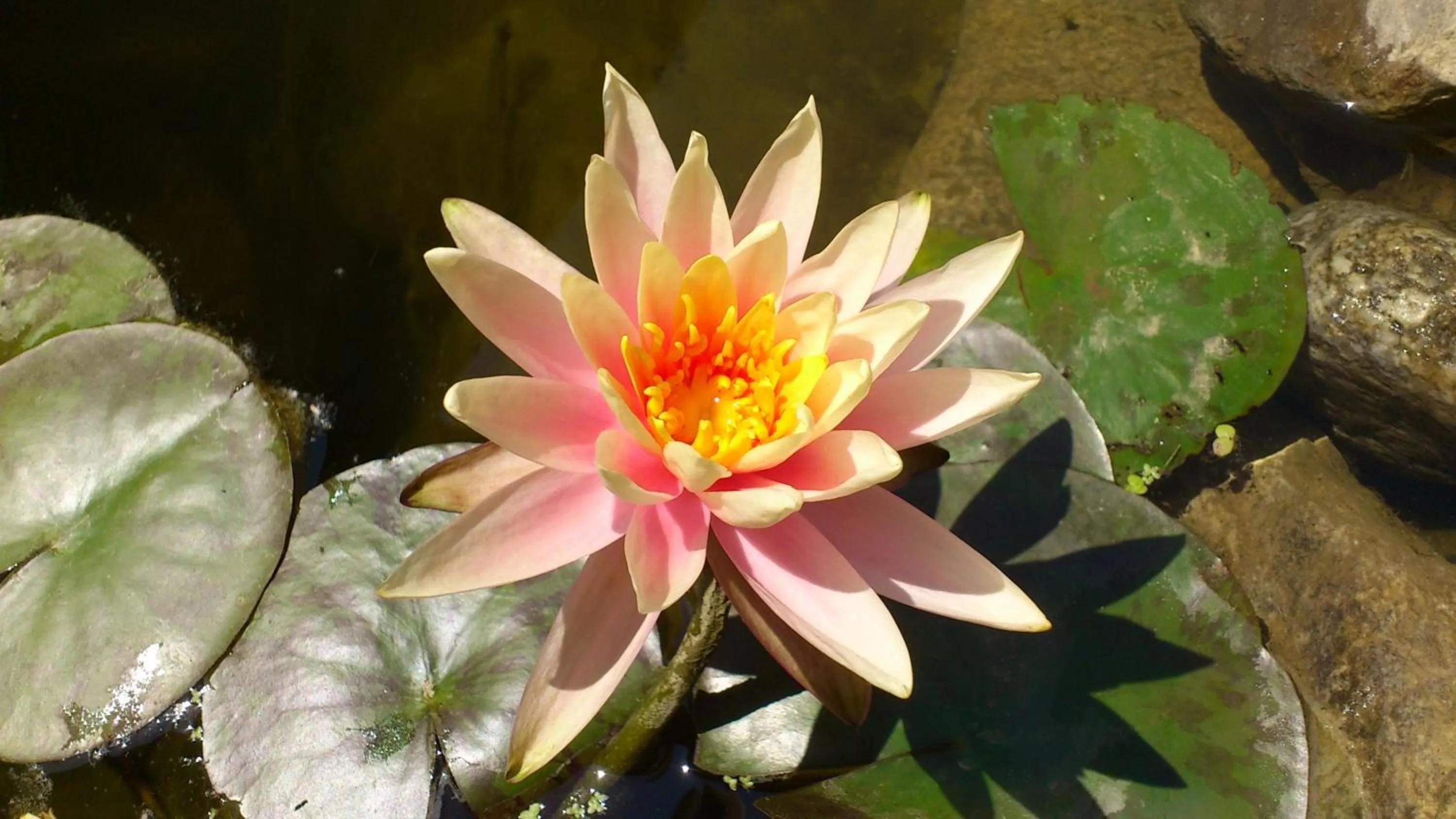 Other in Domaine De La Tannerie chambres d'hôtes et appartements