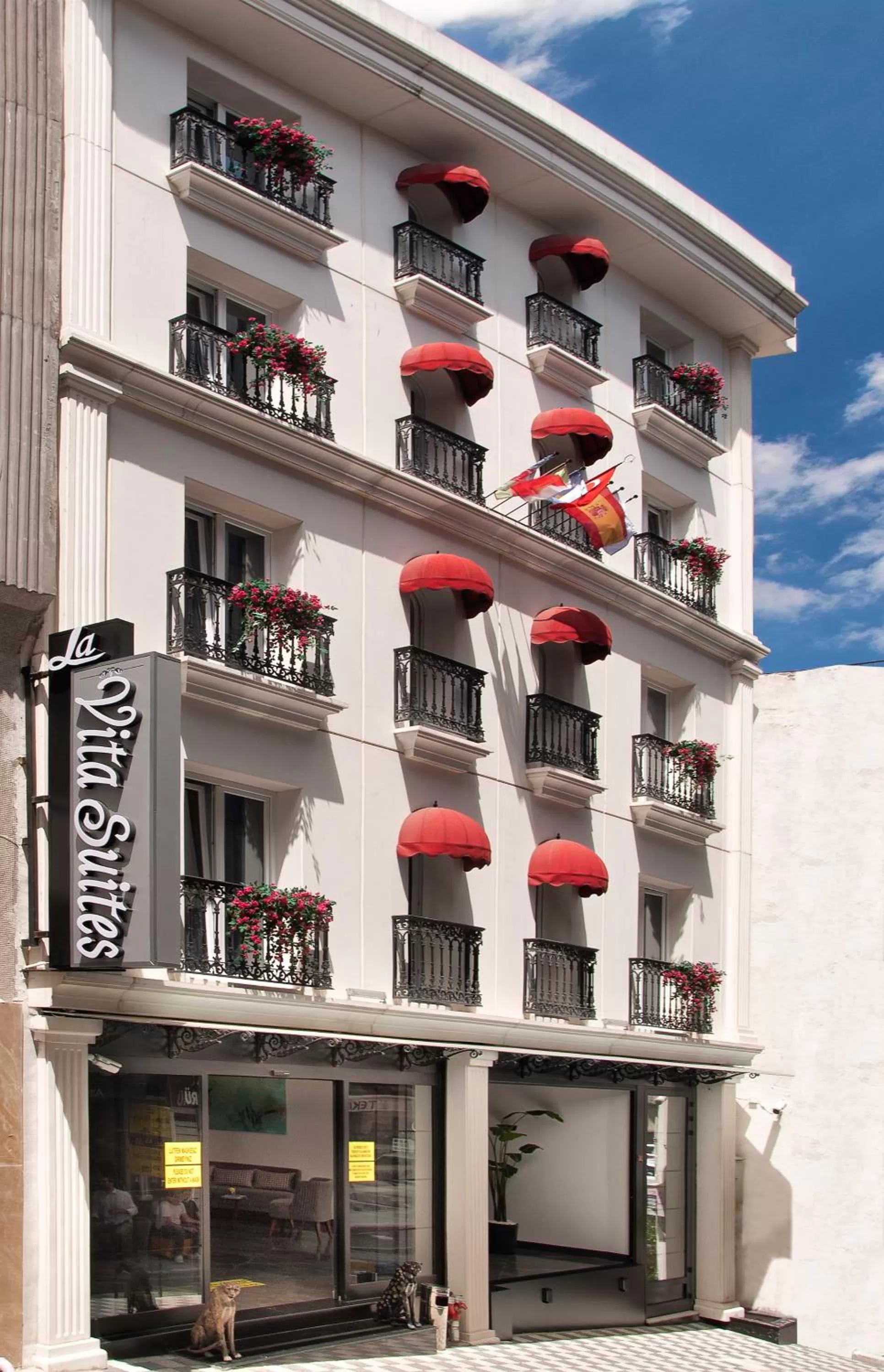 Property building in Last Vita