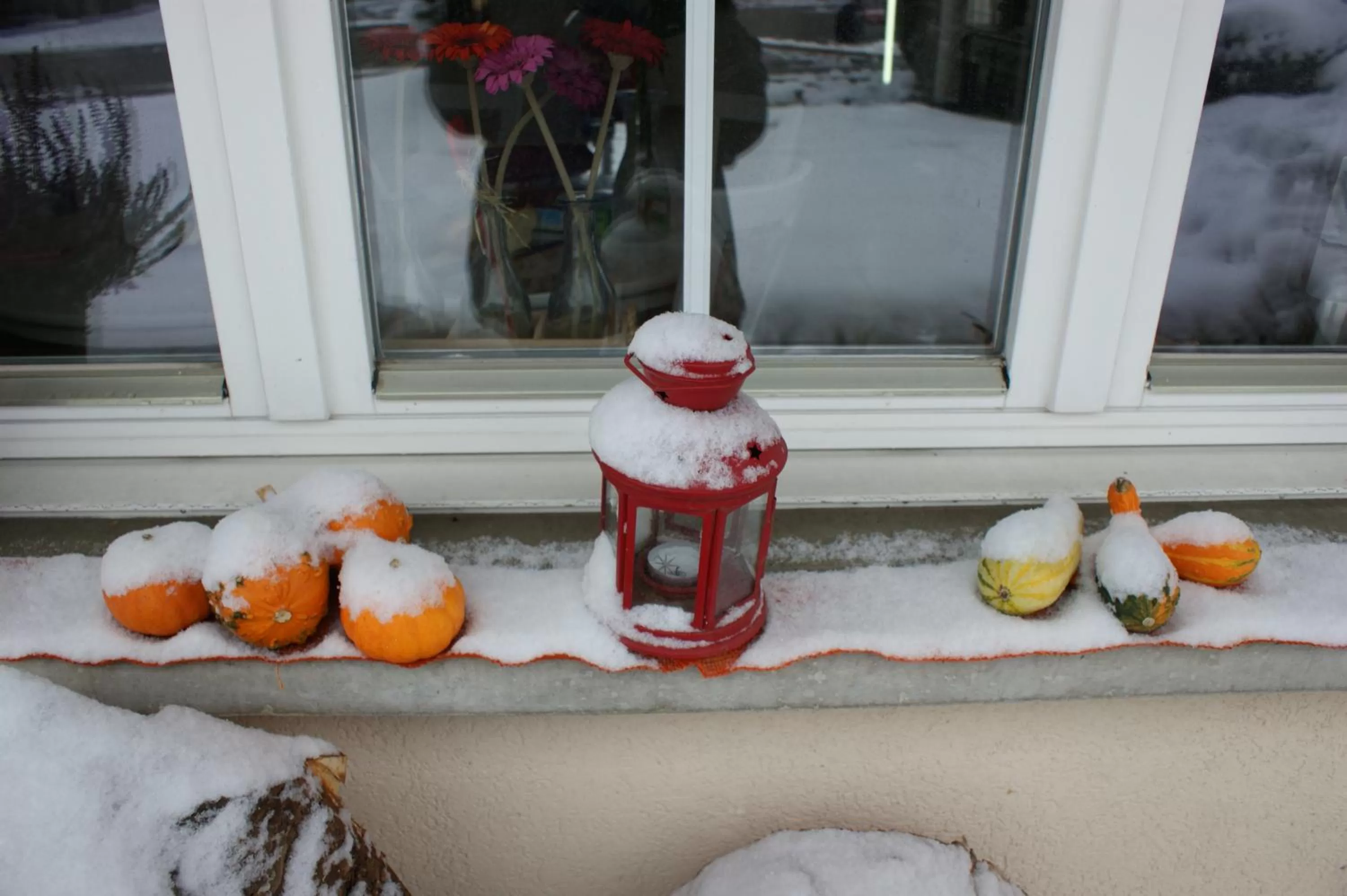 Winter in Ferienwohnung und B&B Chasa Janett