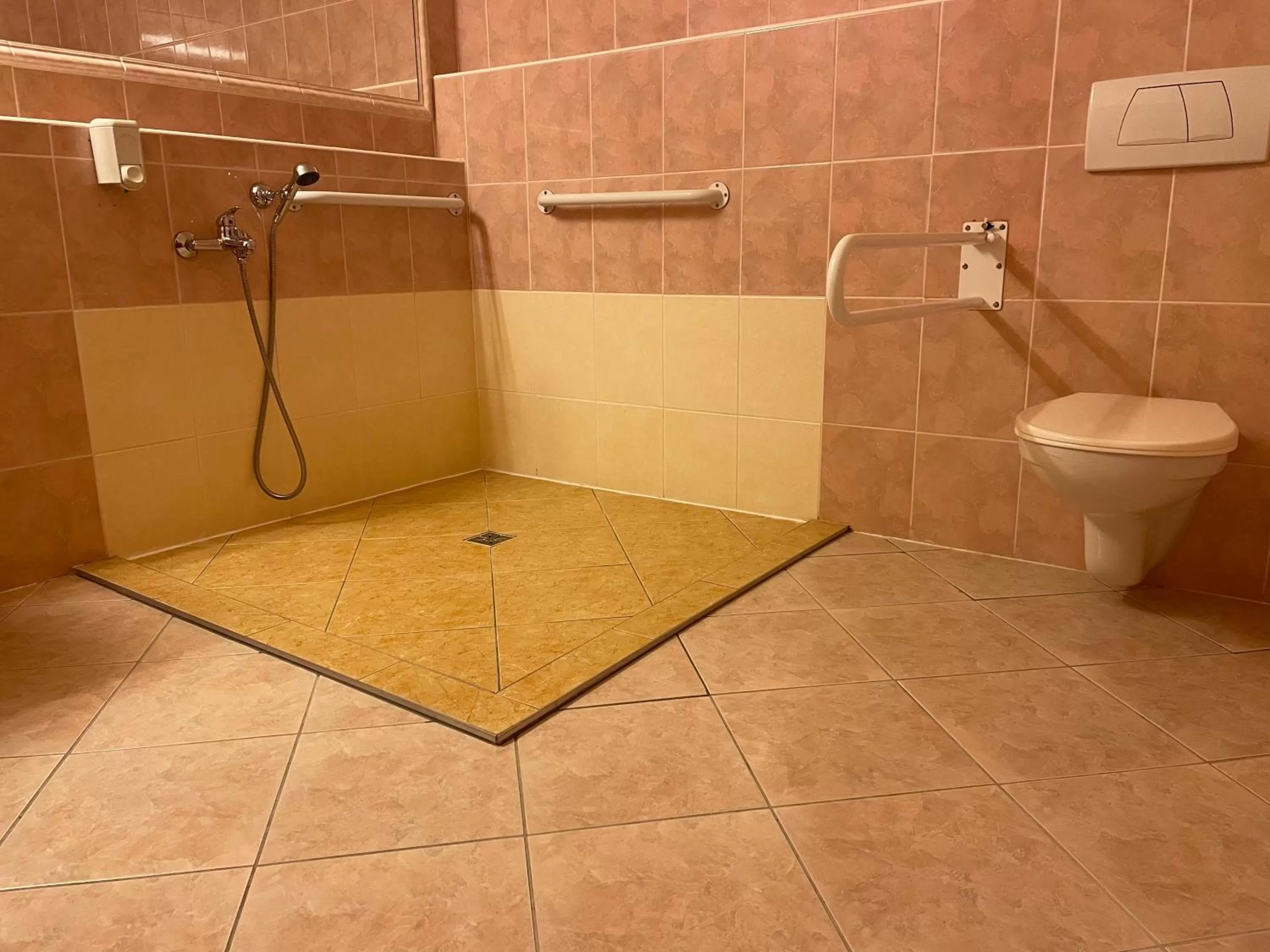 Shower in TOP HOTEL Praha