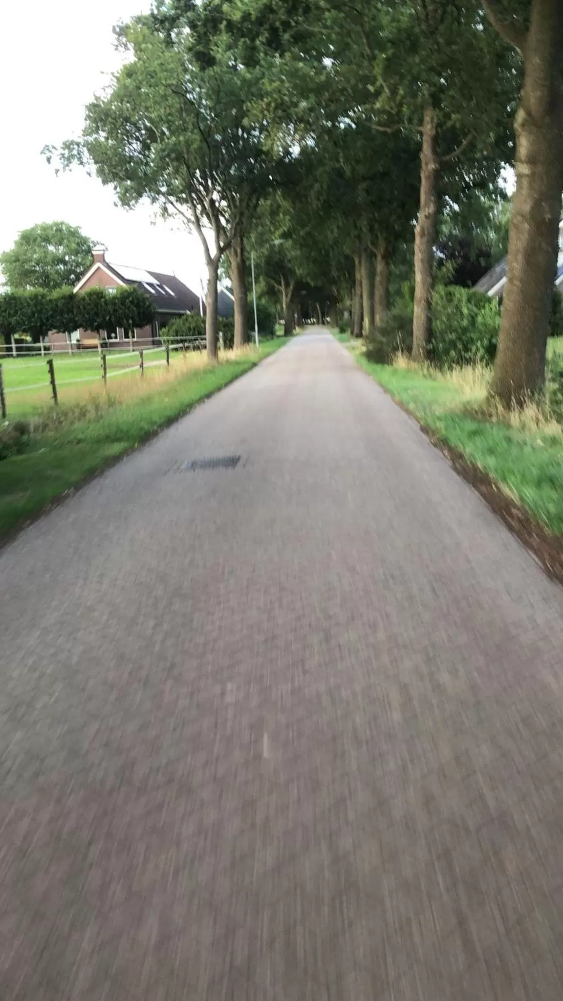 Area and facilities in Altynghe