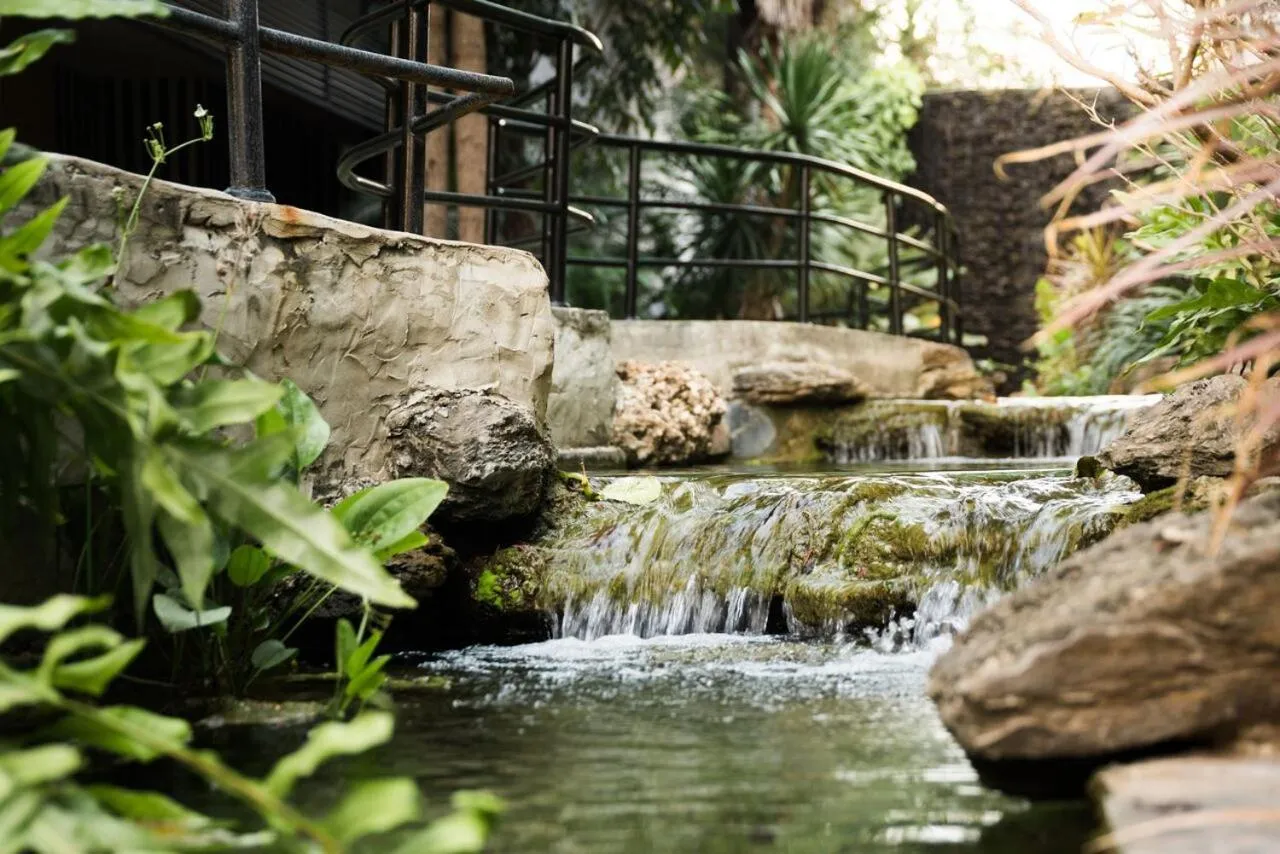 Natural landscape in Prelude Hotel