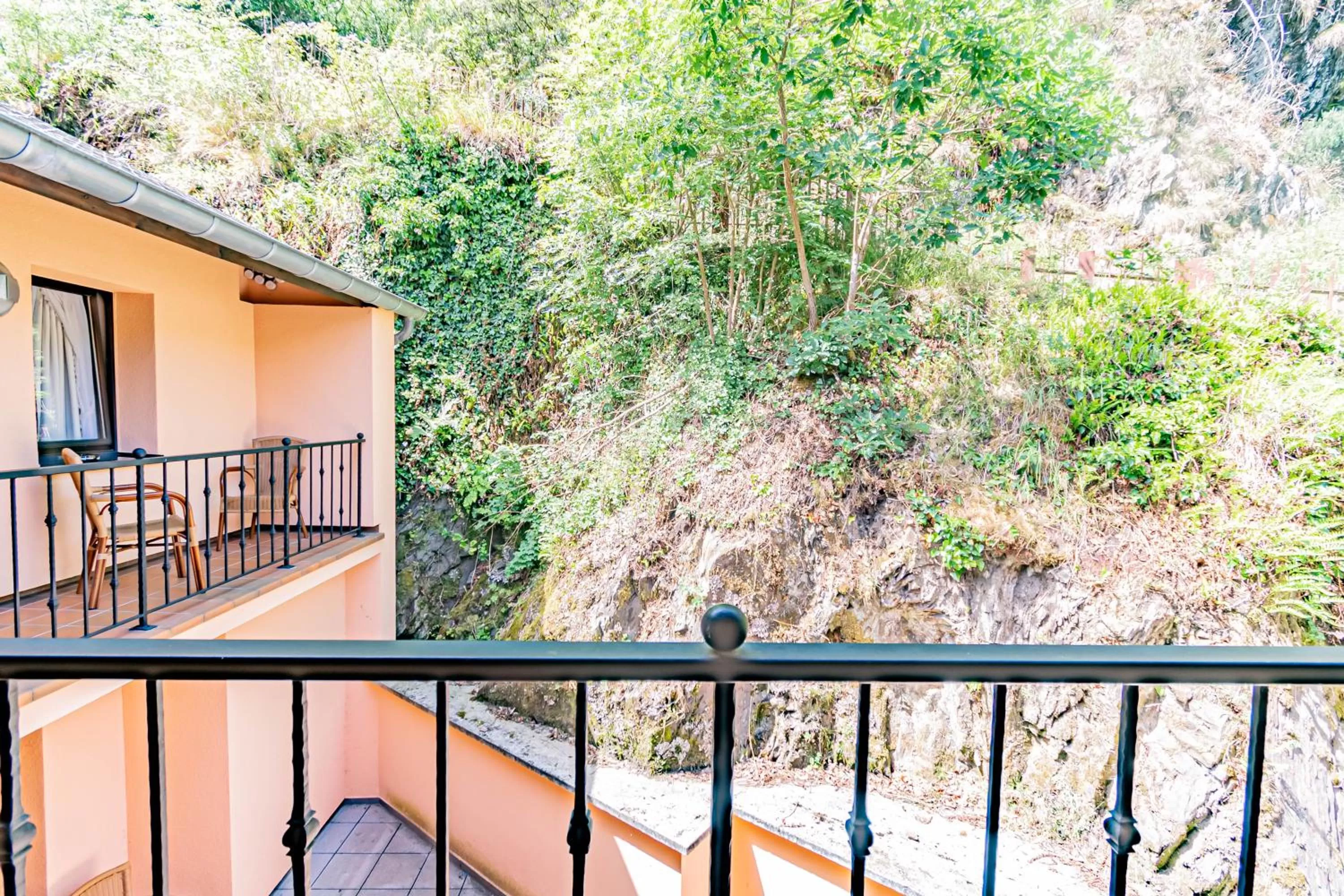 Balcony/Terrace in Hotel Le Postillon