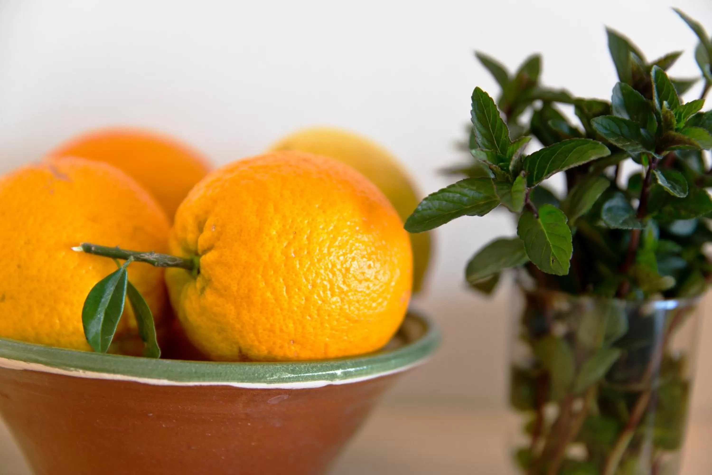 On site in Trendy and Luxe B&B and Garden Suite