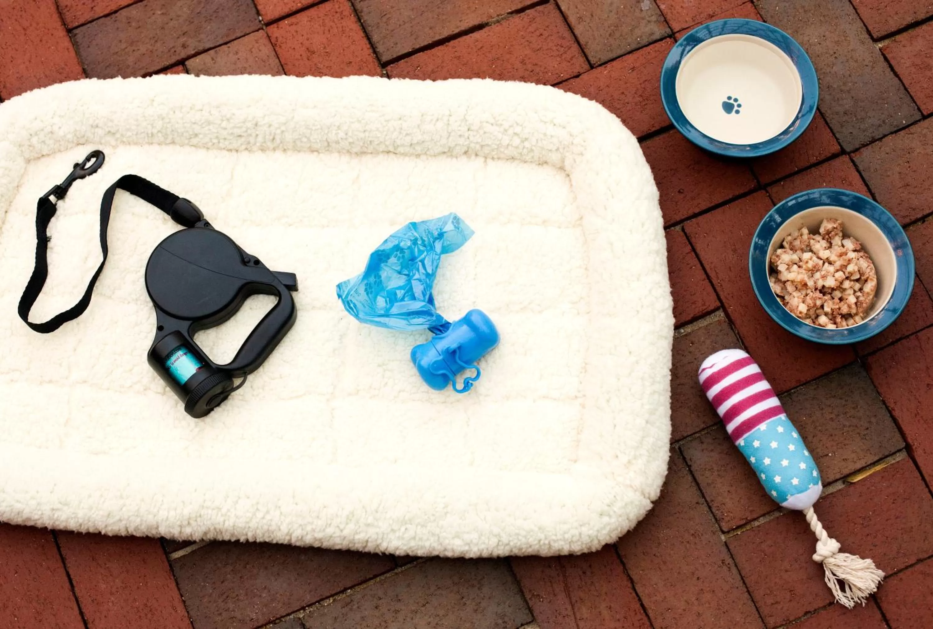 Decorative detail in Devereaux Shields House