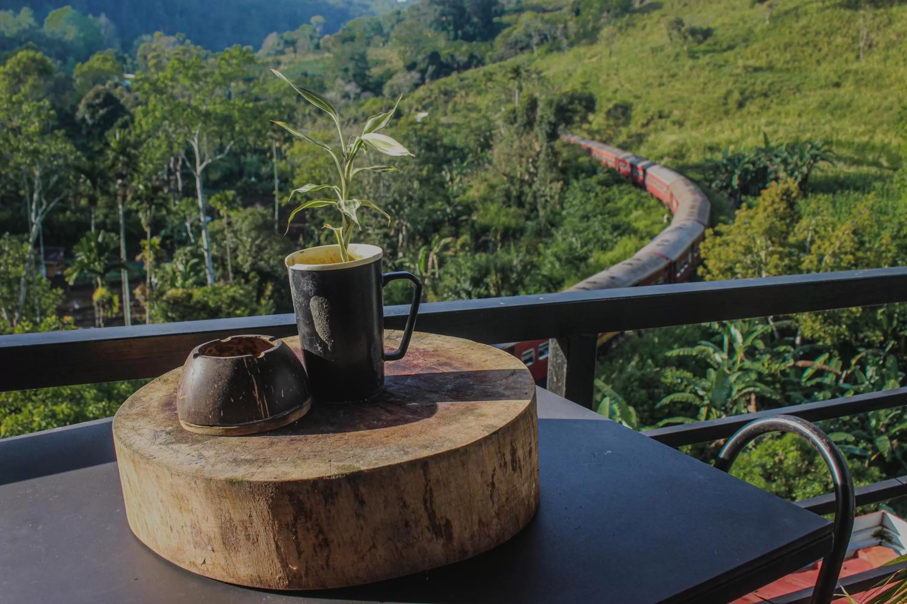 Natural landscape in Levon Boutique Hotel