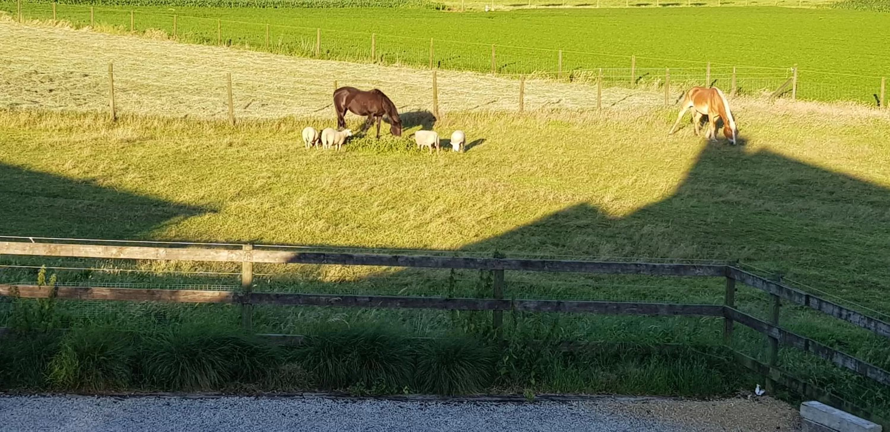View (from property/room) in Ruidenberg