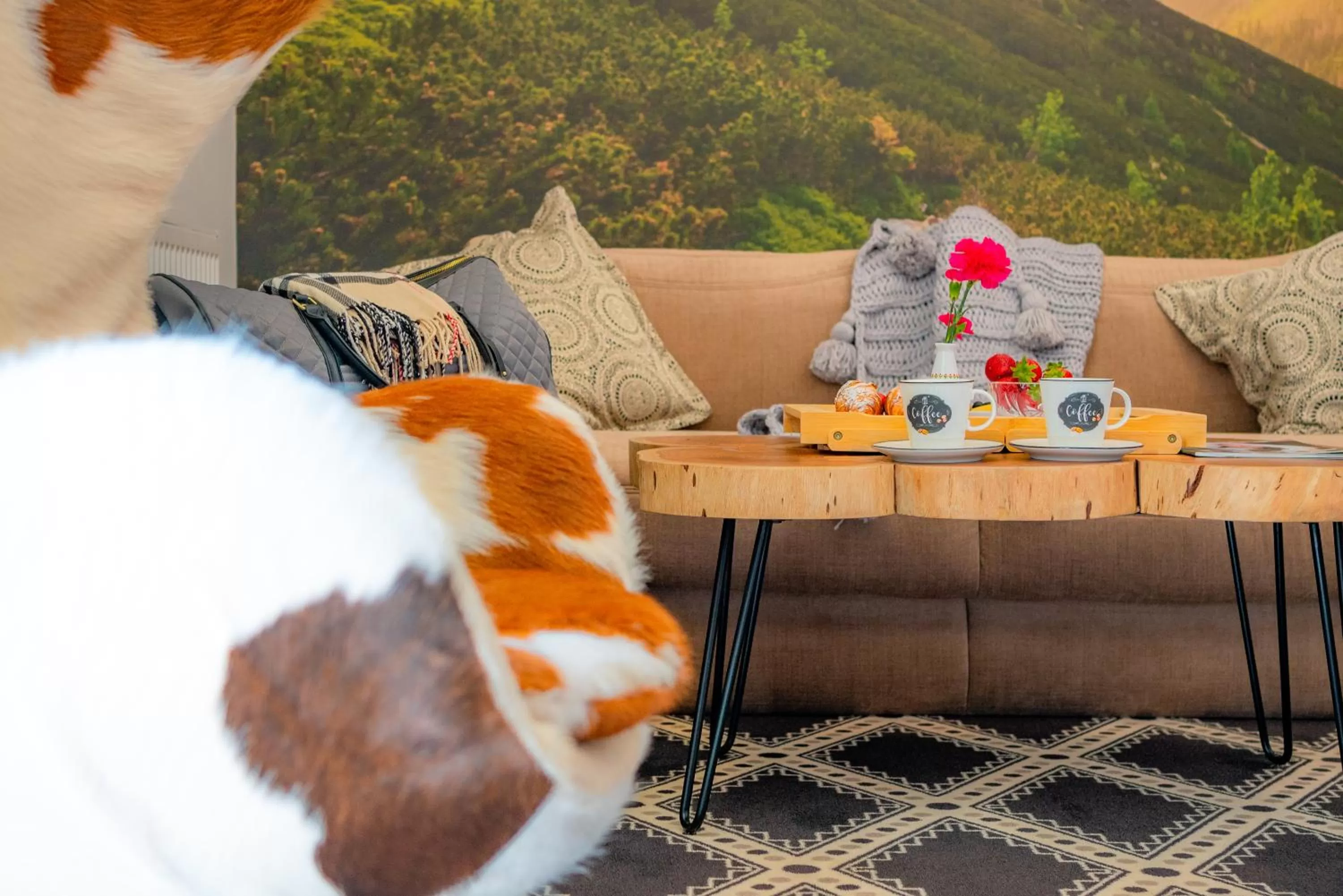 Natural landscape in Serce Tatr Residence Zakopane - blisko Krupówek