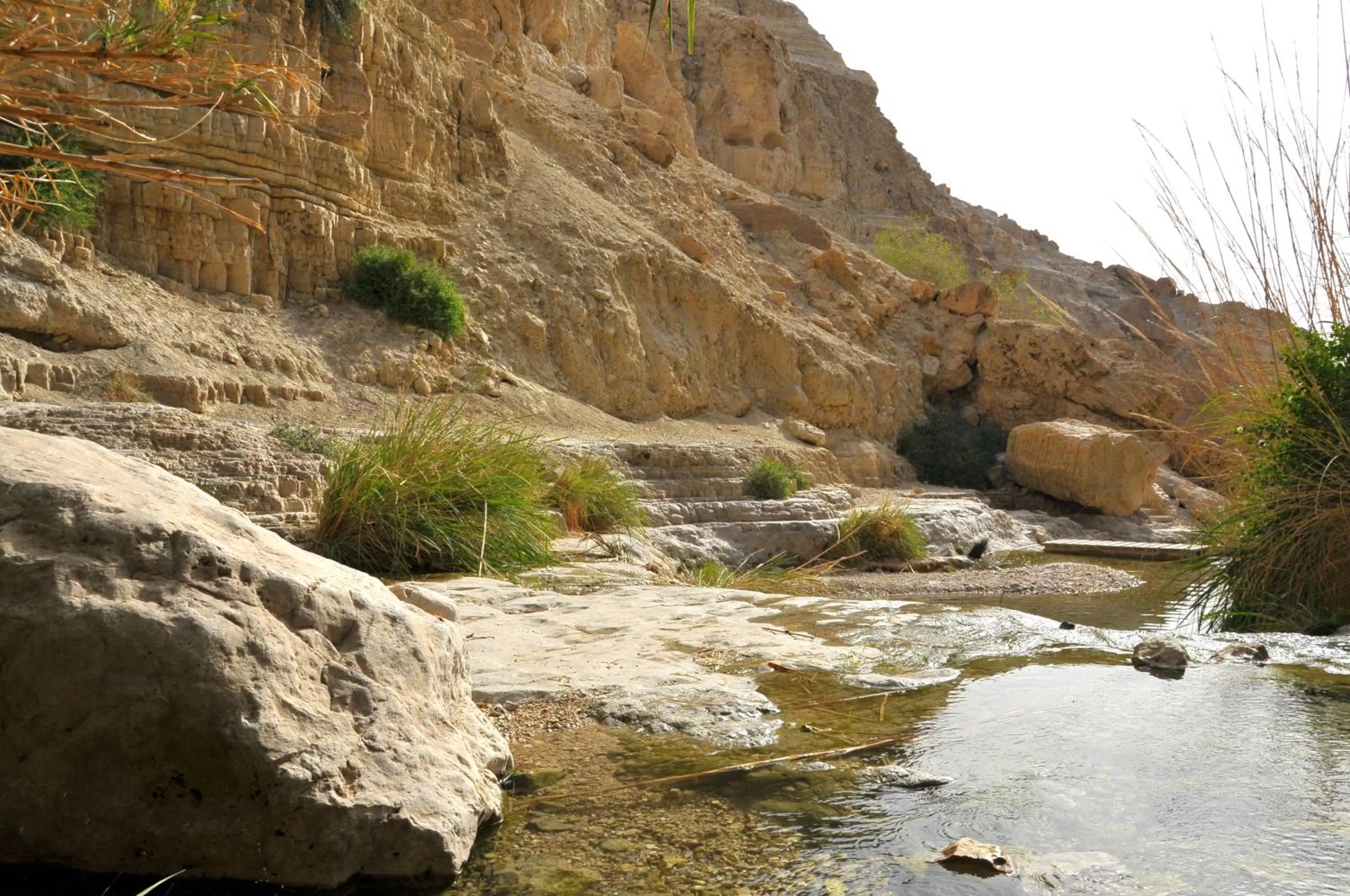 River view in Ein Gedi Kibbutz Hotel
