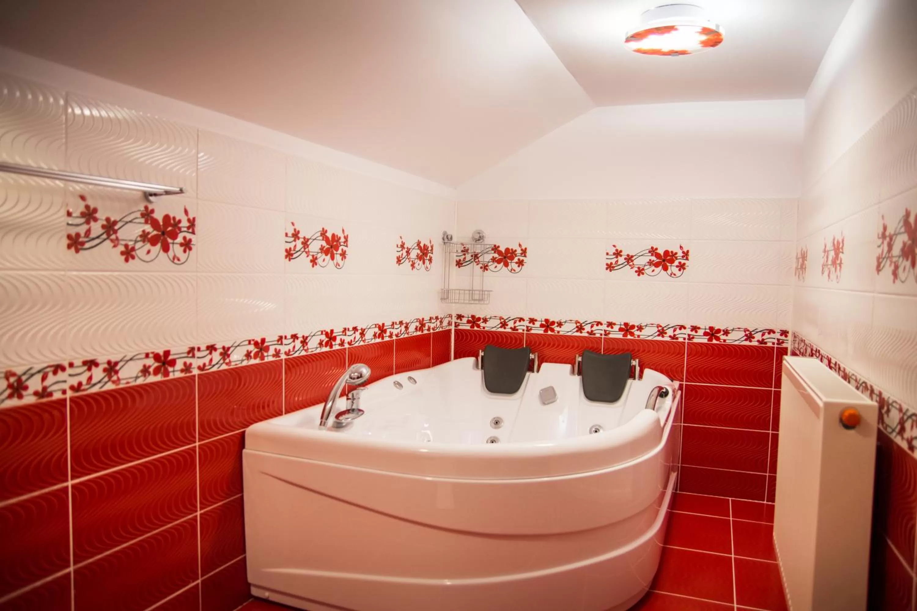 Property building in Pensiunea SilvAnka