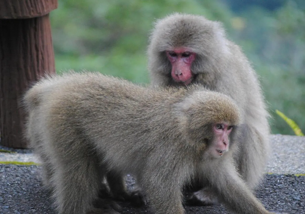 Area and facilities in APA Hotel Kagoshima Chuo Ekimae