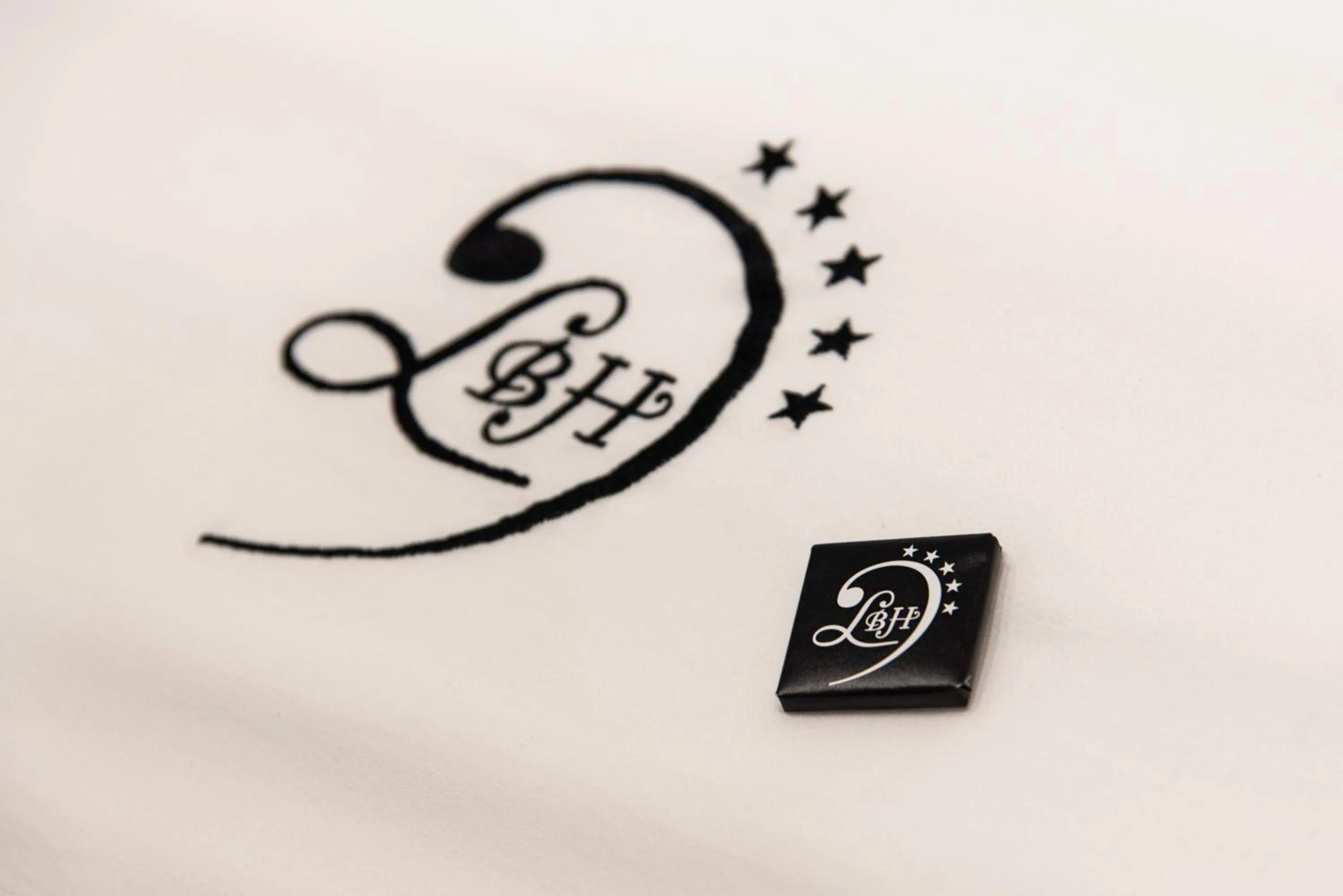 Property logo or sign in Ludwig Boutique Hotel & Spa