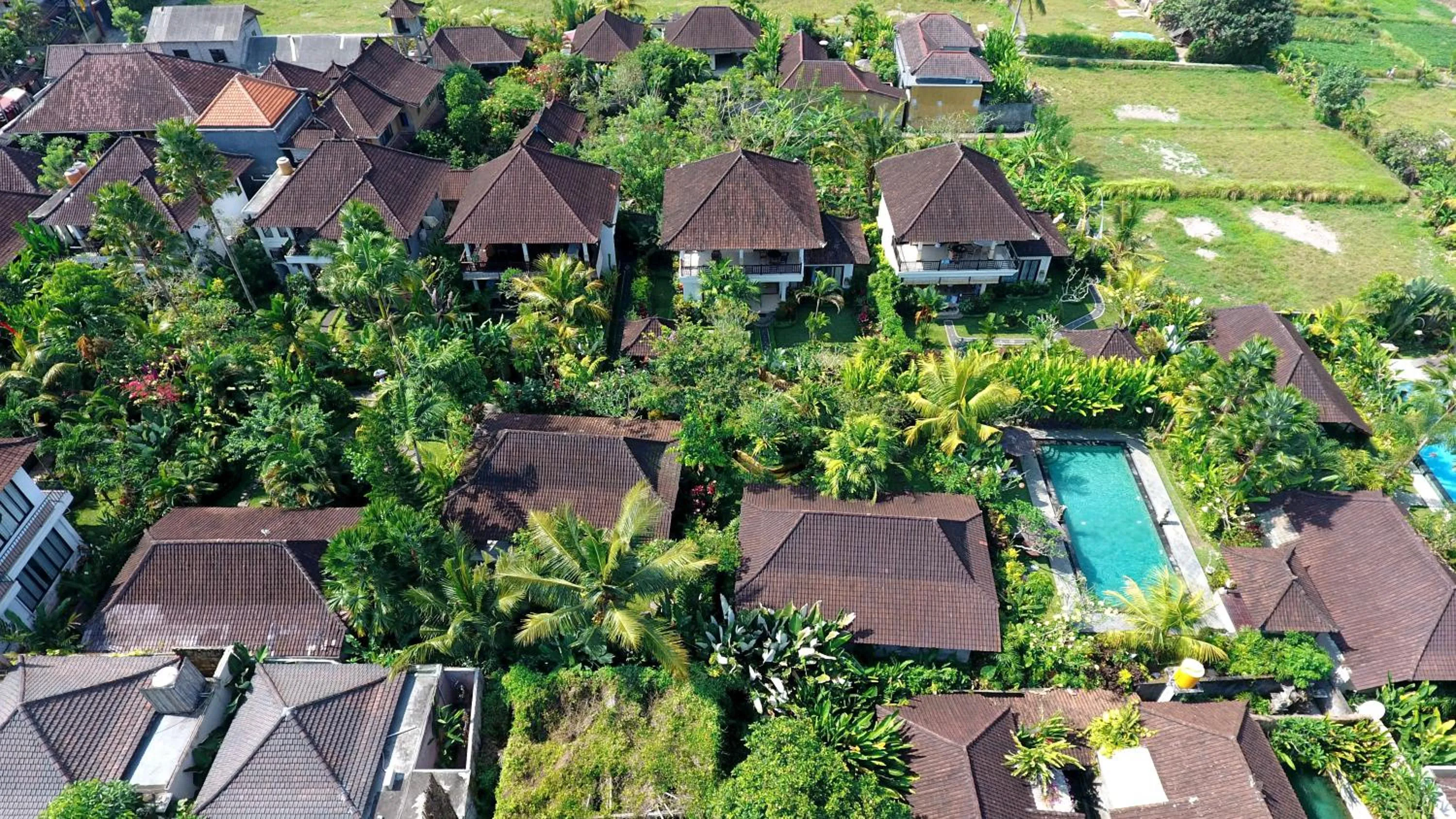 Bird's eye view in Bali Dream Resort Ubud