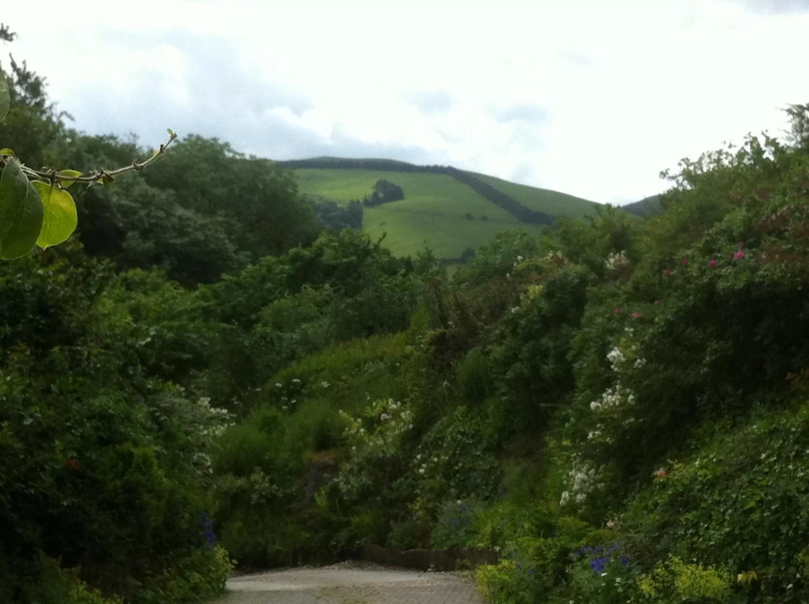 Natural landscape in Hafan Deg