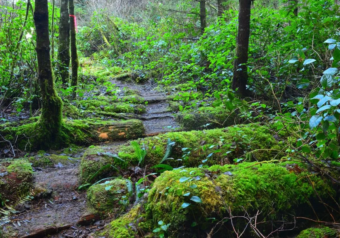 Garden in Pioneer Inn by the River