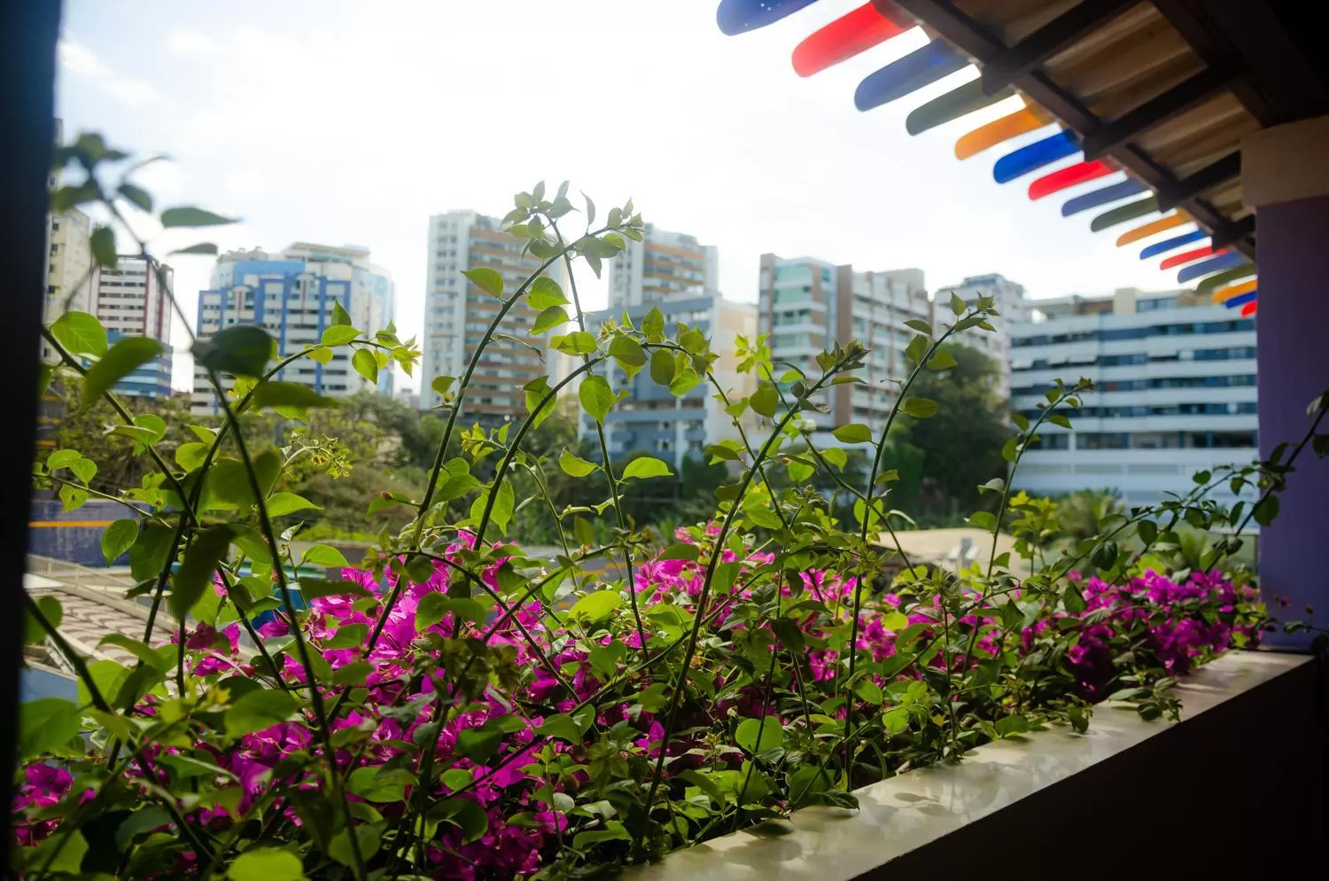 Pousada e Hostel Chez Marianne