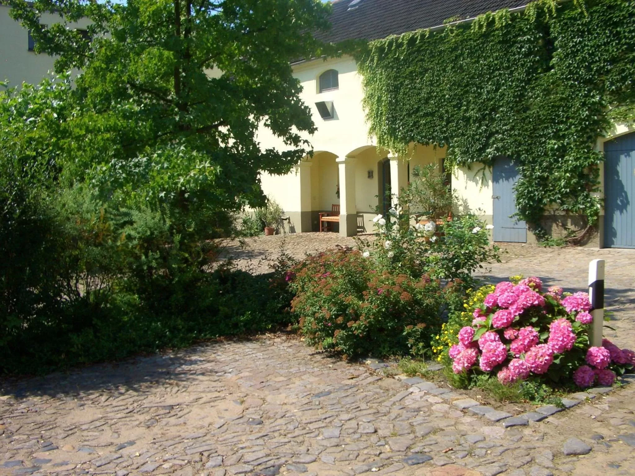 Patio in Hotel Moritz an der Elbe