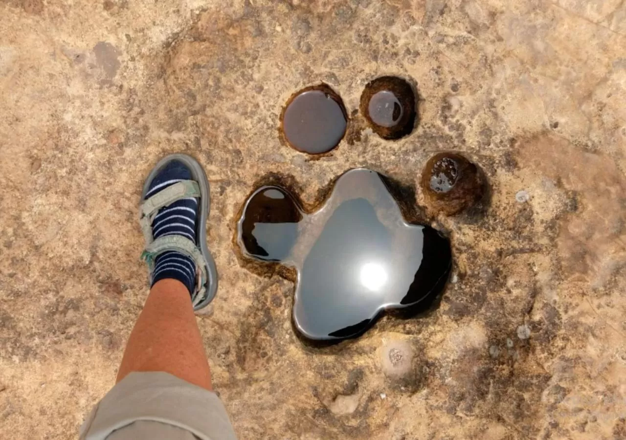 Off site in La Merced Plaza Hostal