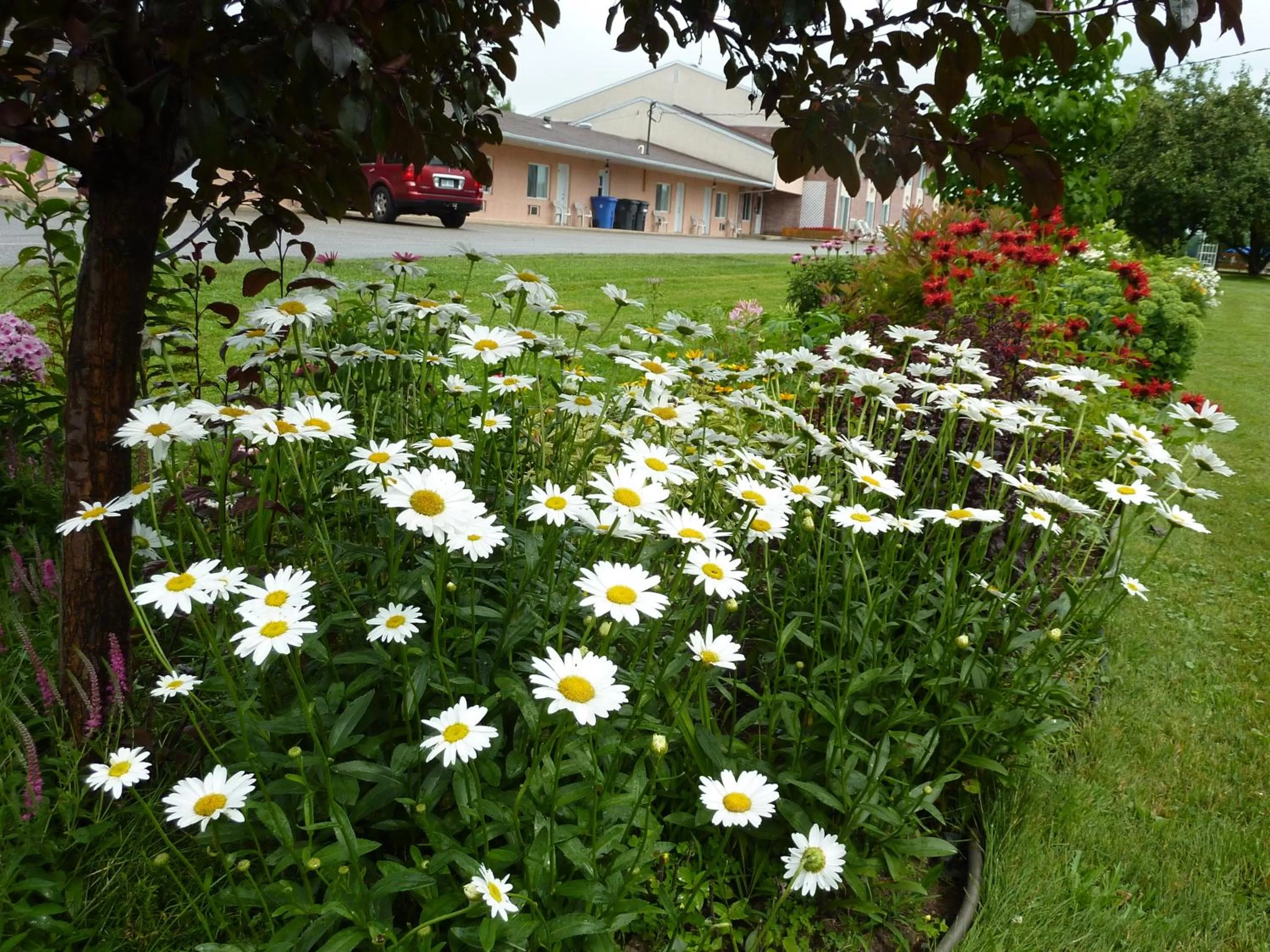 Property building in Motel Becancour