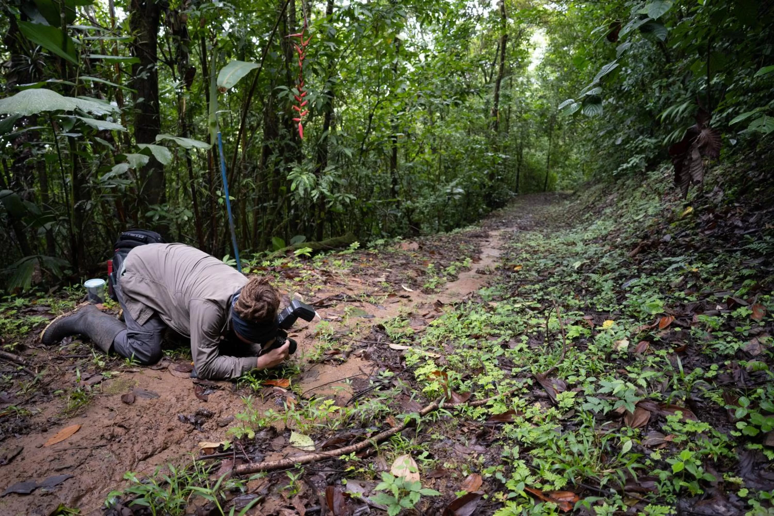 Birds & Breakfast Costa Rica