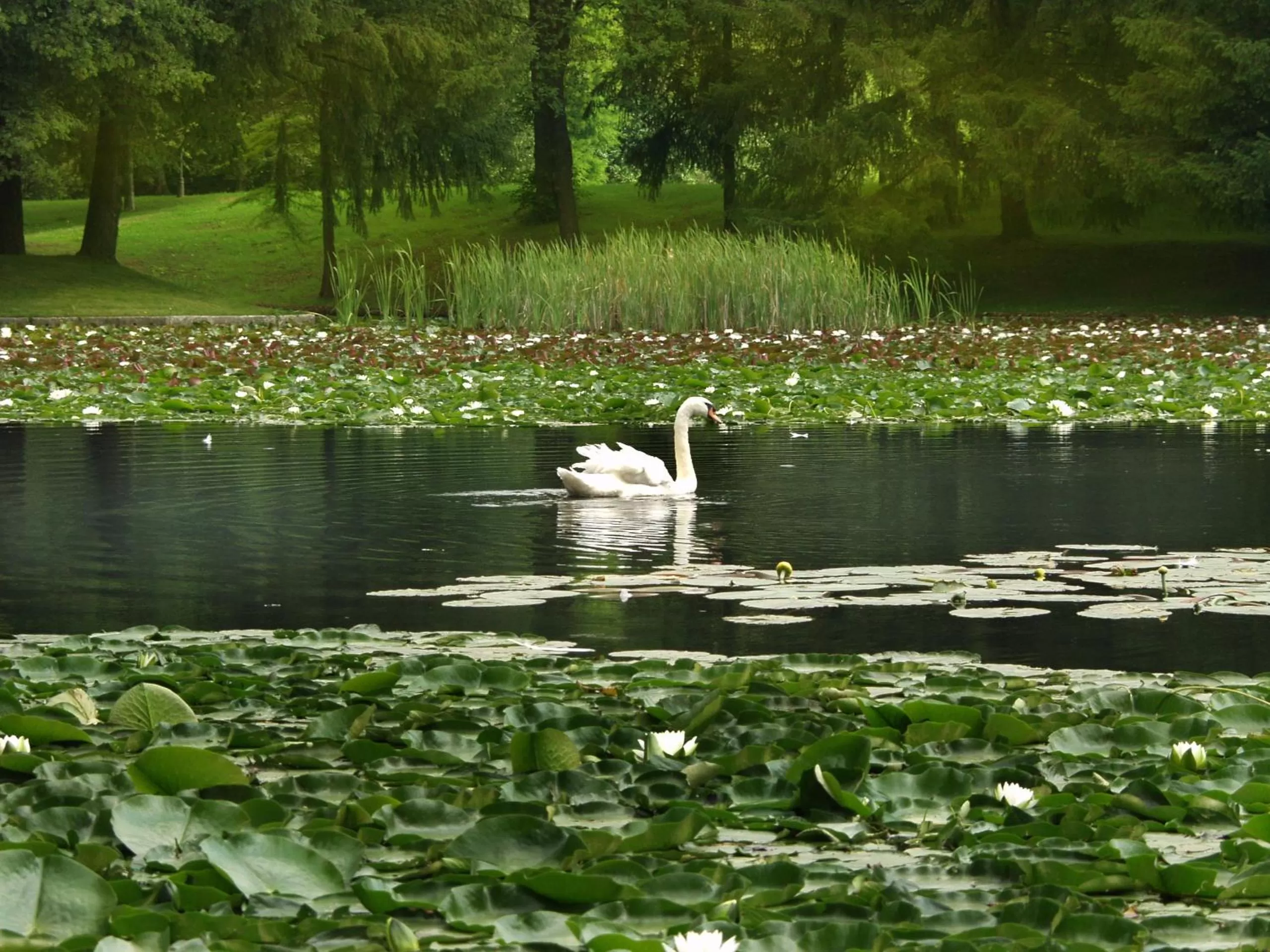 Garden in Elegans Hotel Brdo