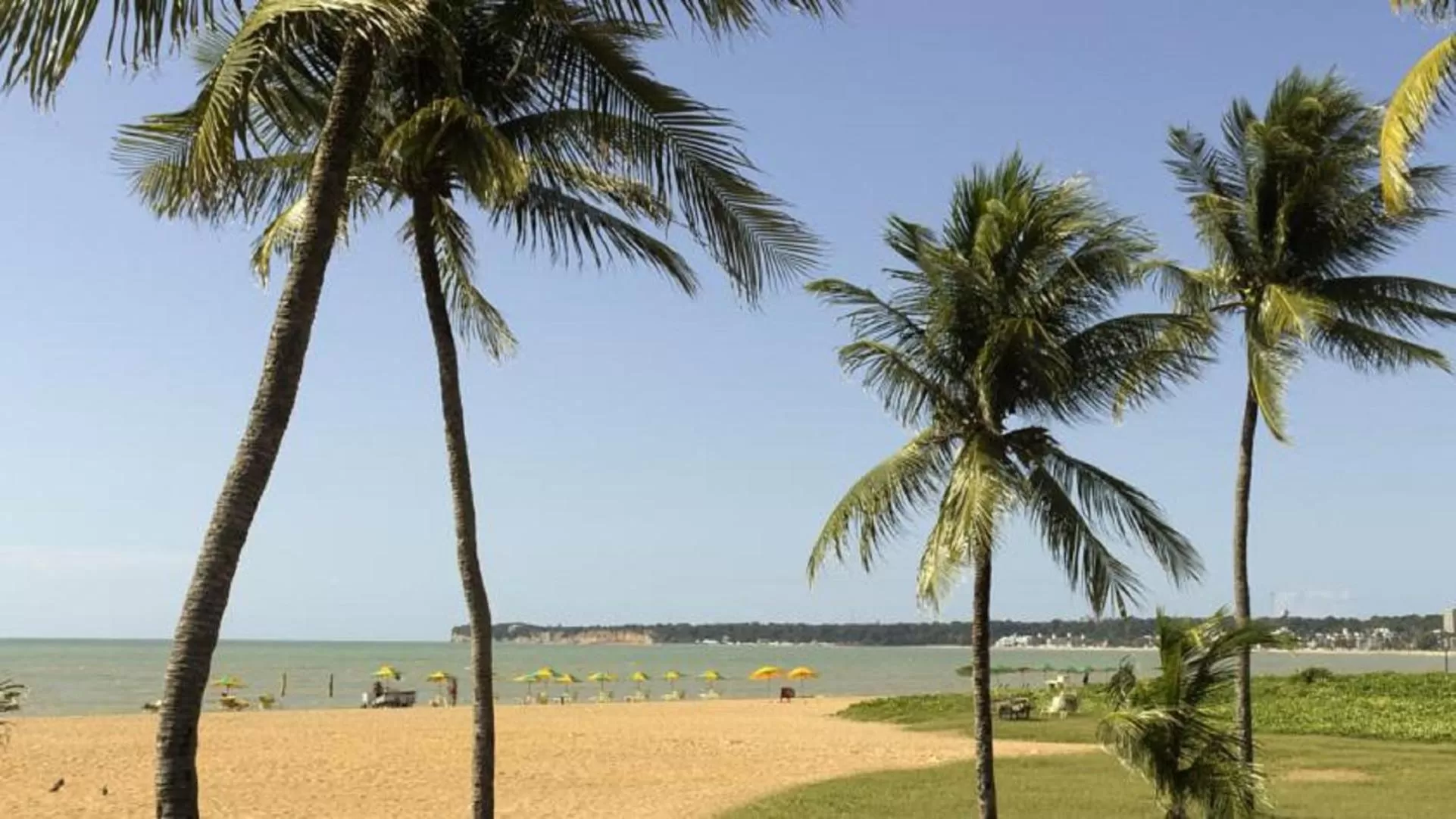 Beach in Sonia Flat Tambaú - Apartamento vista mar no Mano's Royal Hotel