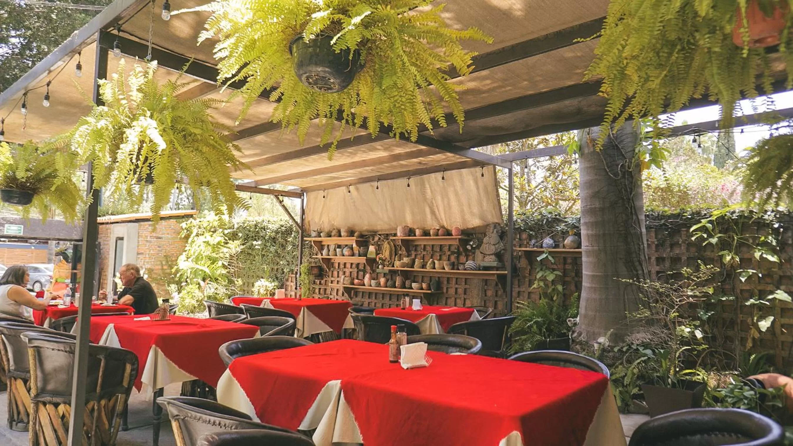 Restaurant/Places to Eat in Toca Madera