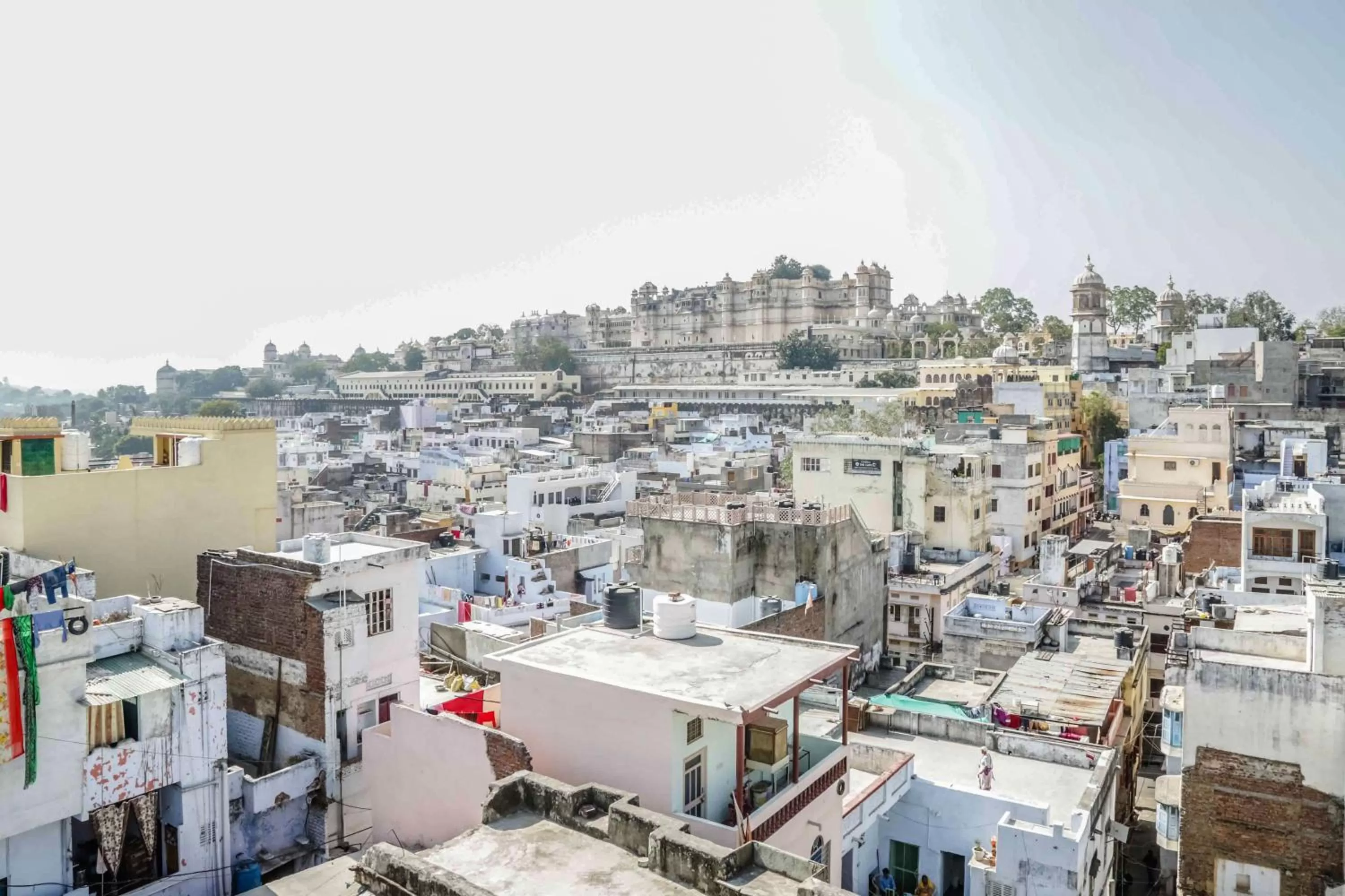 Neighbourhood in The Neem Tree