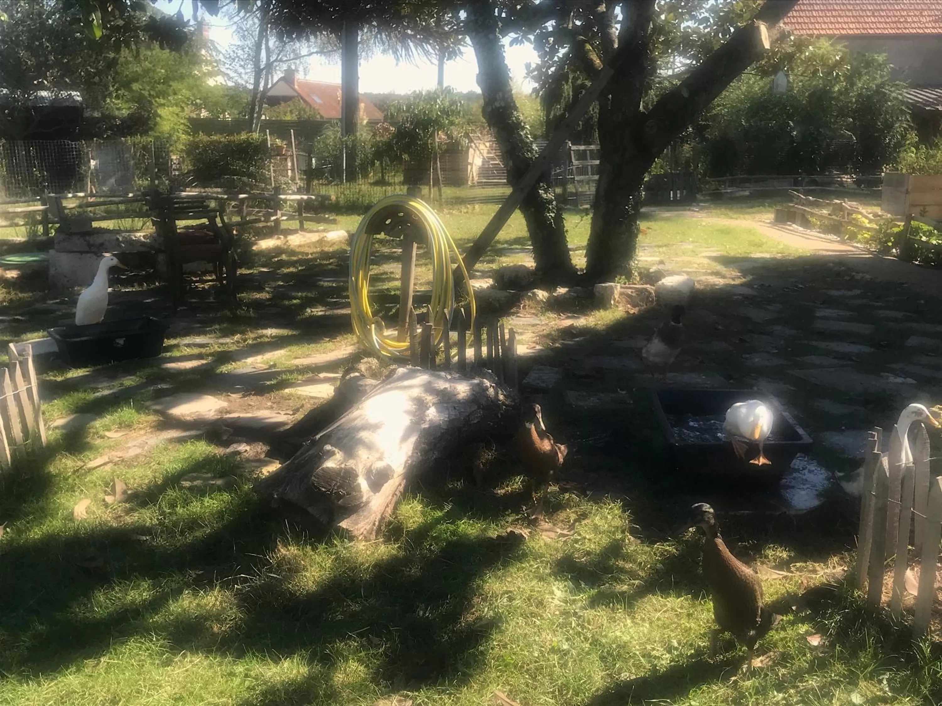 Garden in Chez Gustave & Compagnie