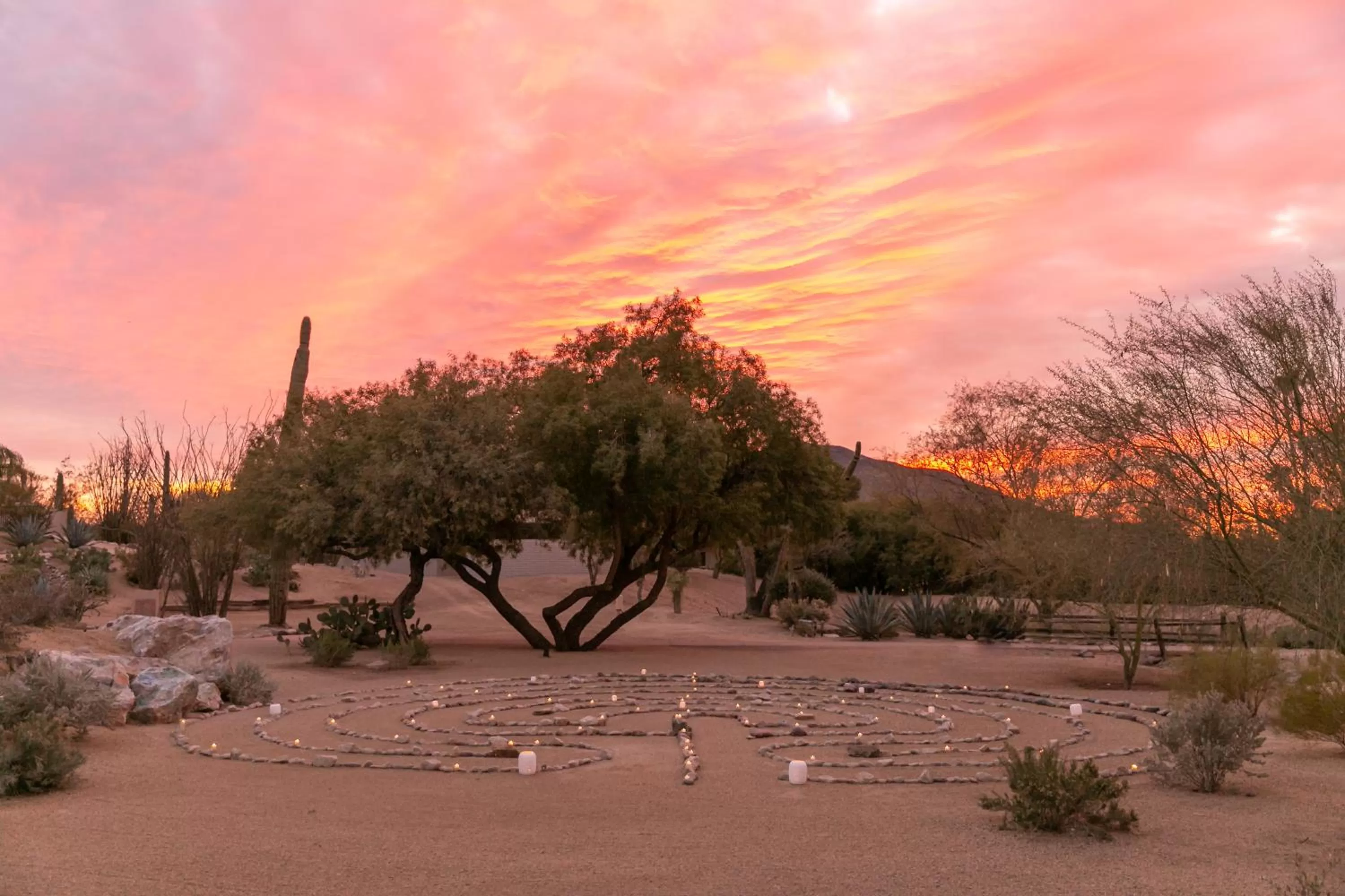 Natural landscape in CIVANA Wellness Resort & Spa