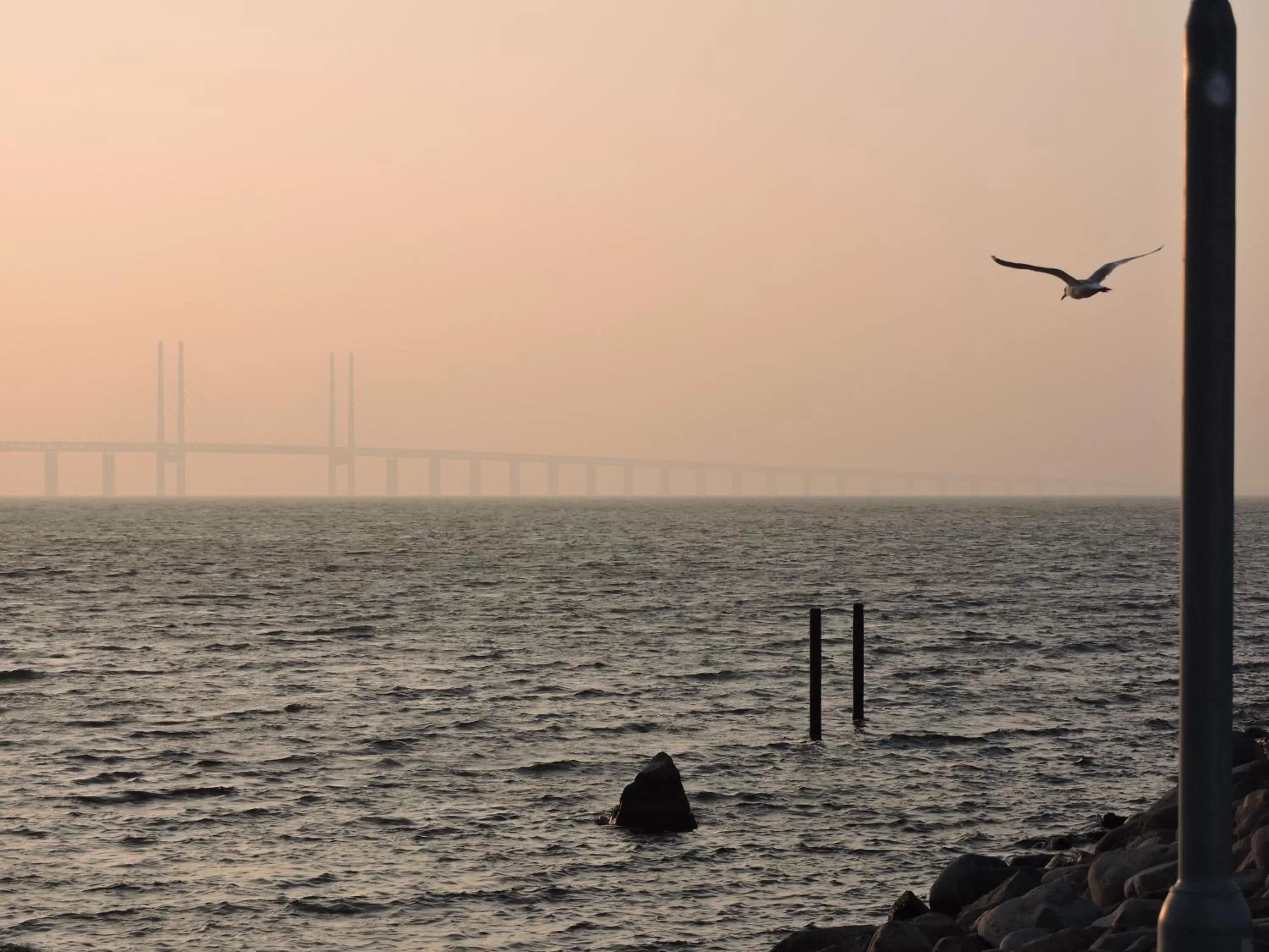 Spring in Havshotellet