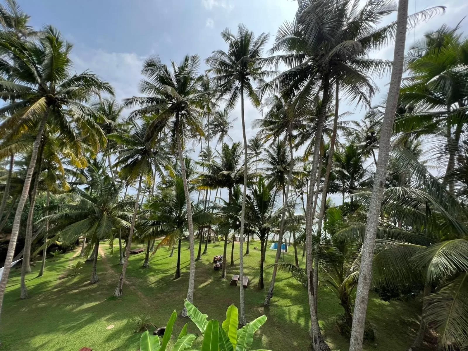 Garden view in Galawatta Beach Resort