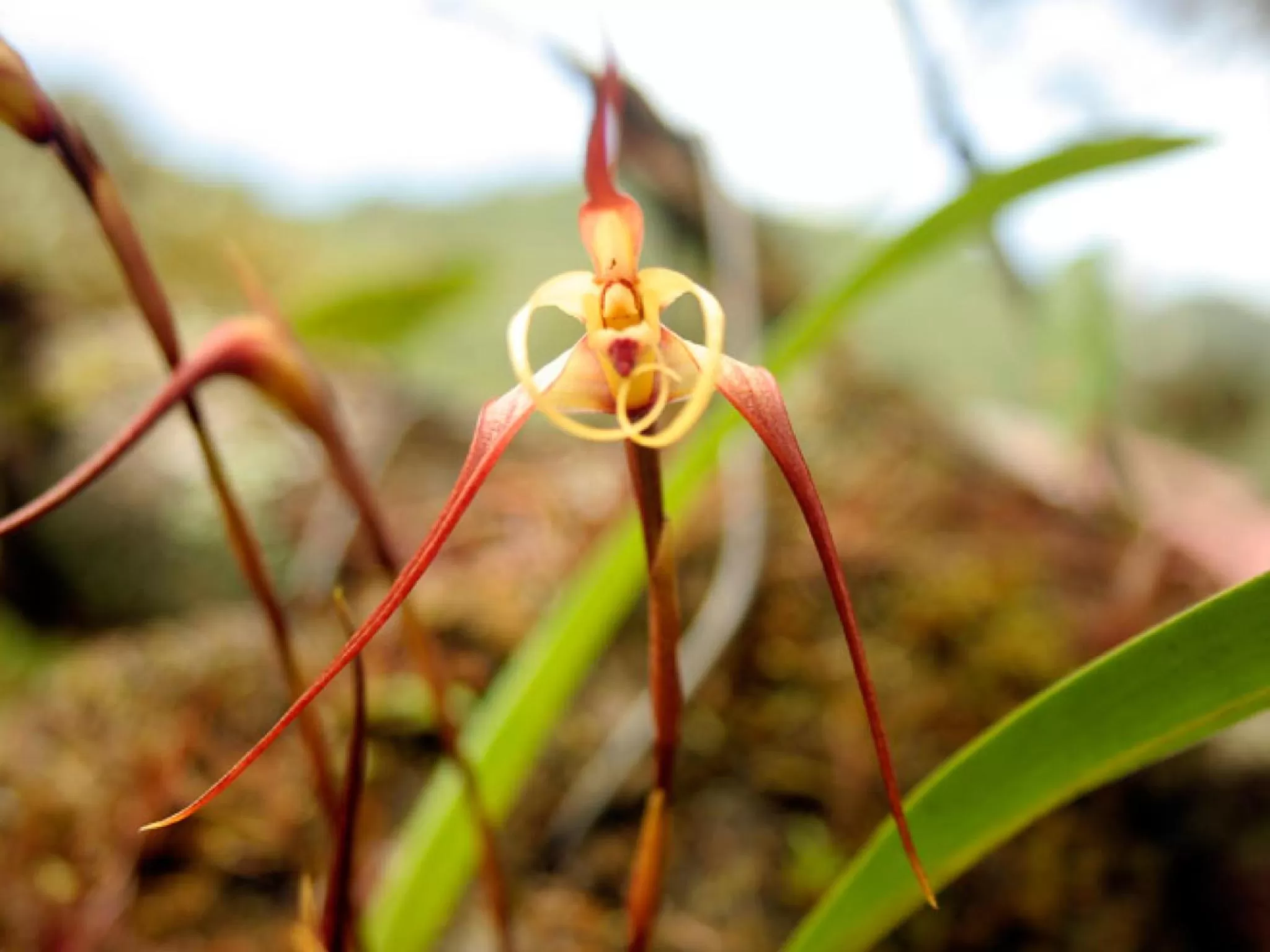 Off site in Spa Hosteria Miramelindo