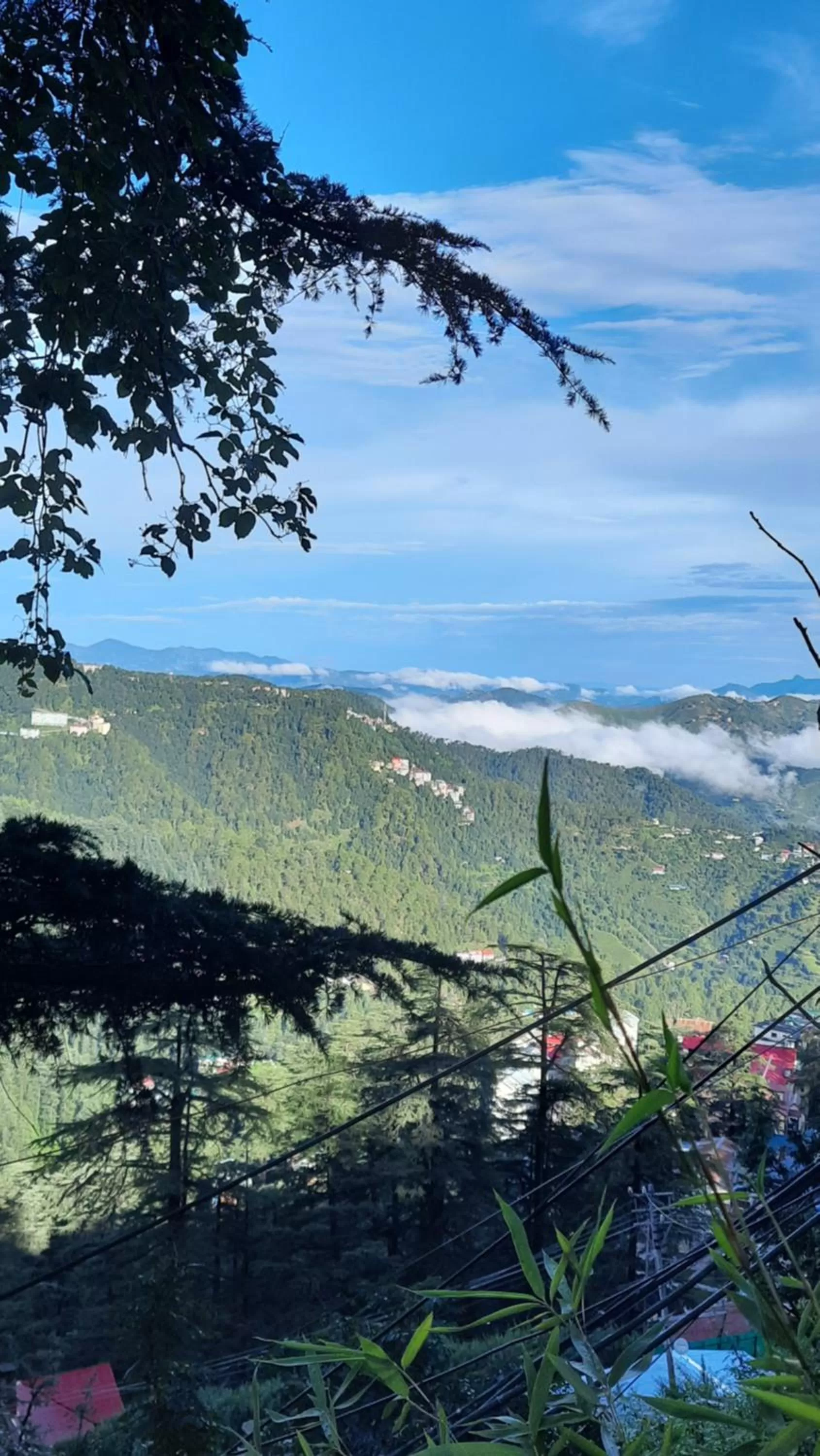 Natural landscape in Hotel Lords Regency - Connected to Mall Road