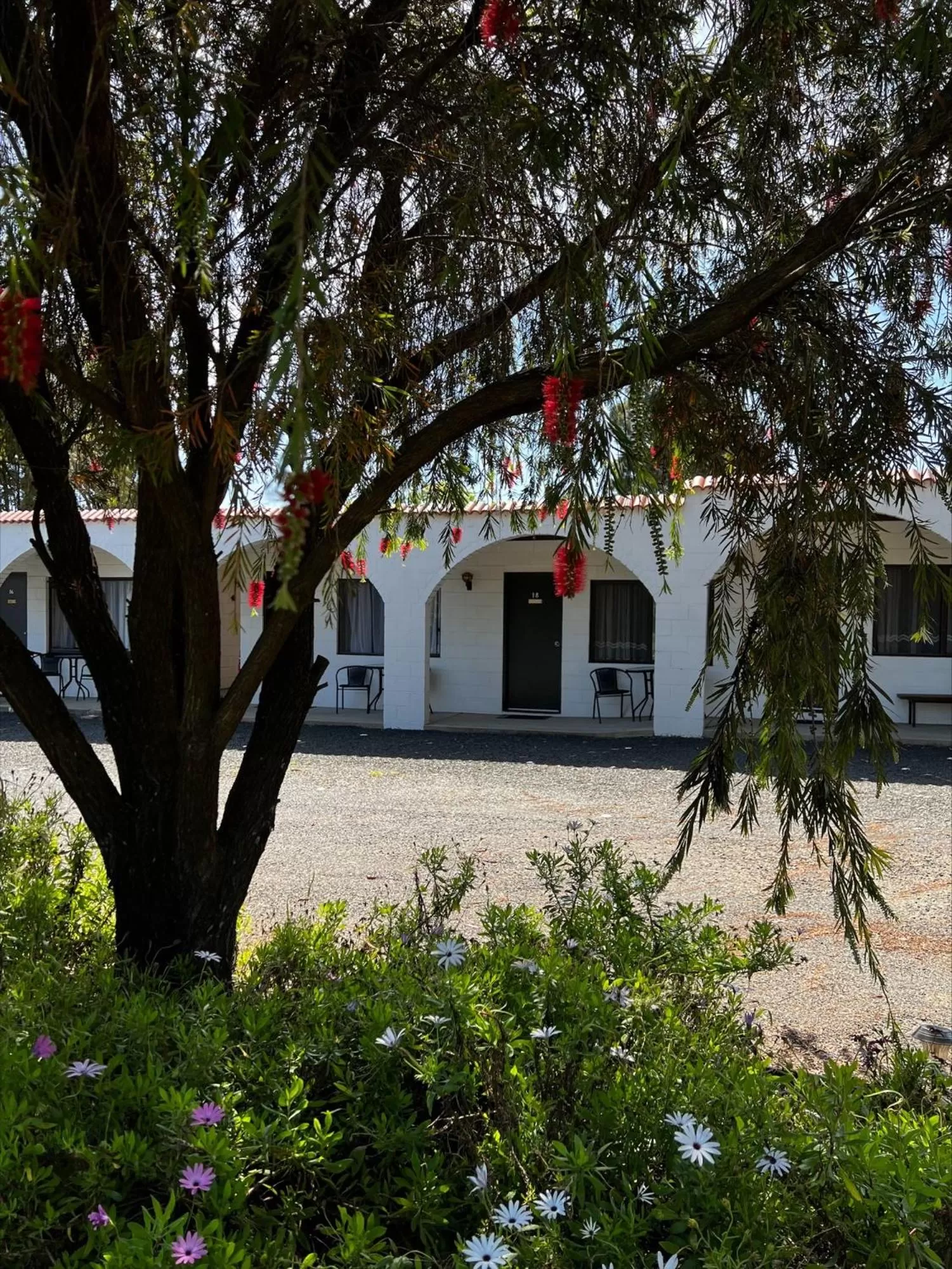 Property building in Azalea Motel