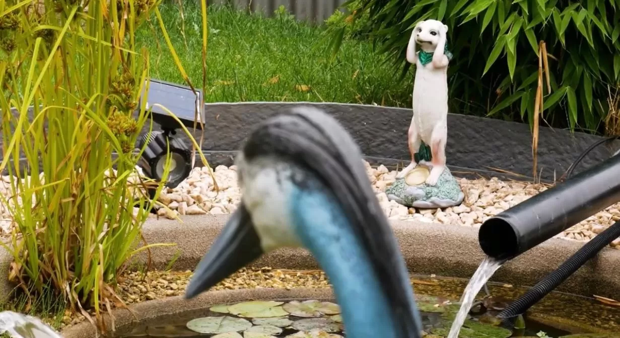 Other Animals in Hotel Cafe Waldeck