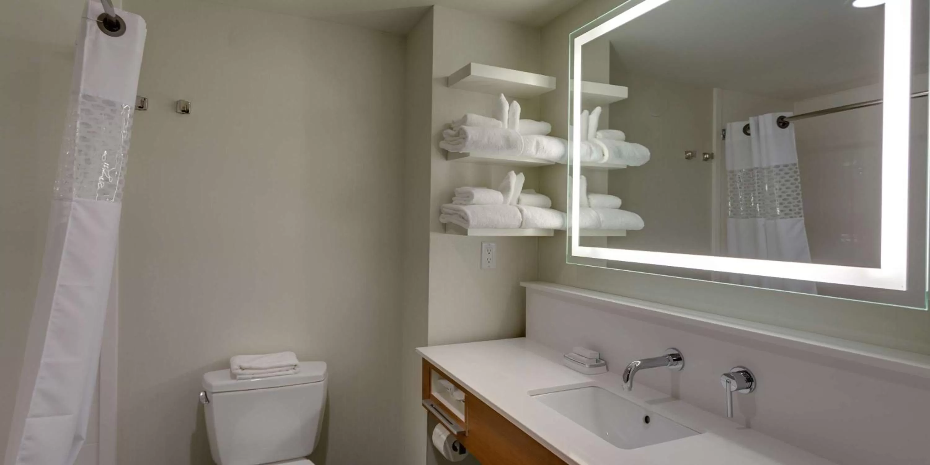 Bathroom in Hampton Inn & Suites - Knoxville Papermill Drive, TN