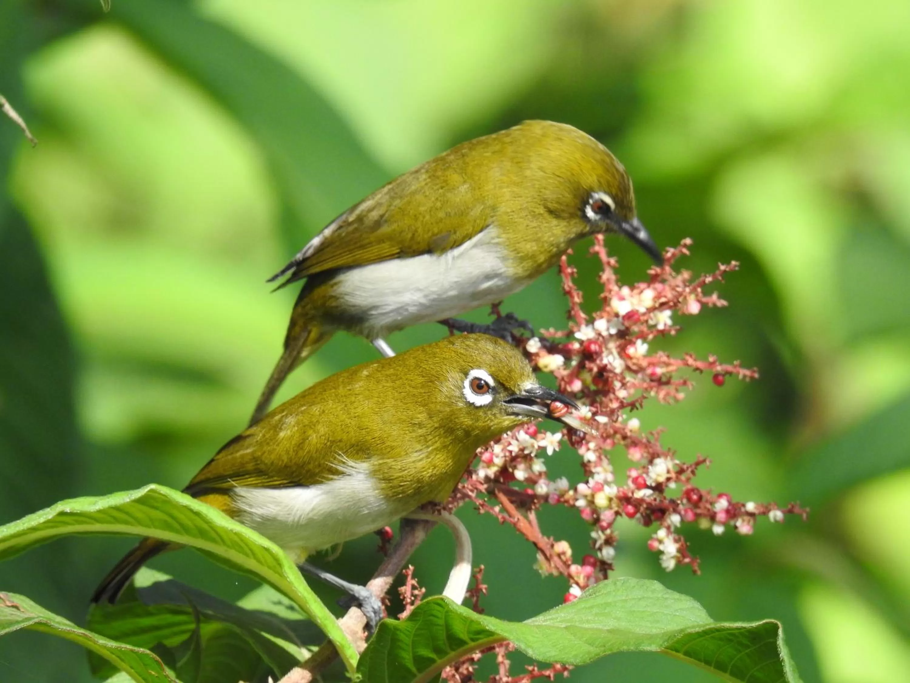 Activities in The Grand Hotel - Heritage Grand