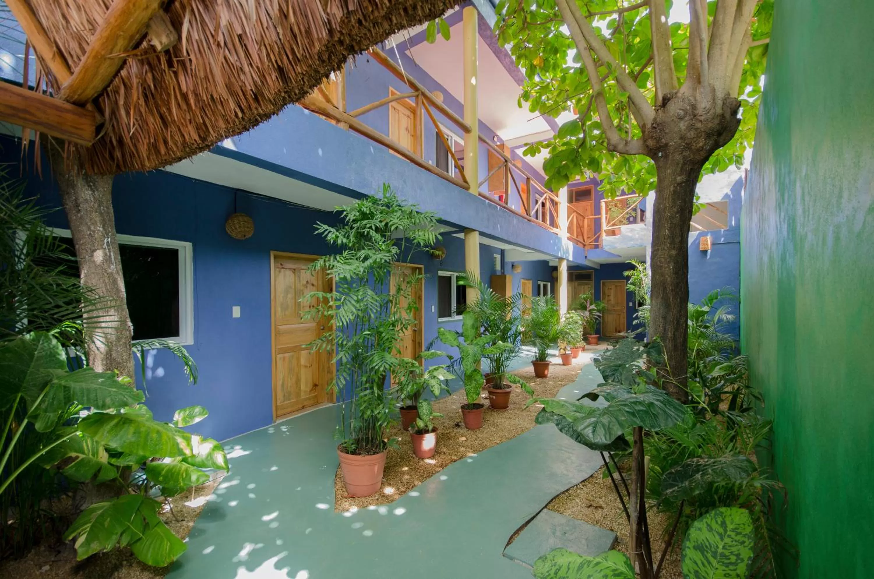 Garden in Casa Almendro