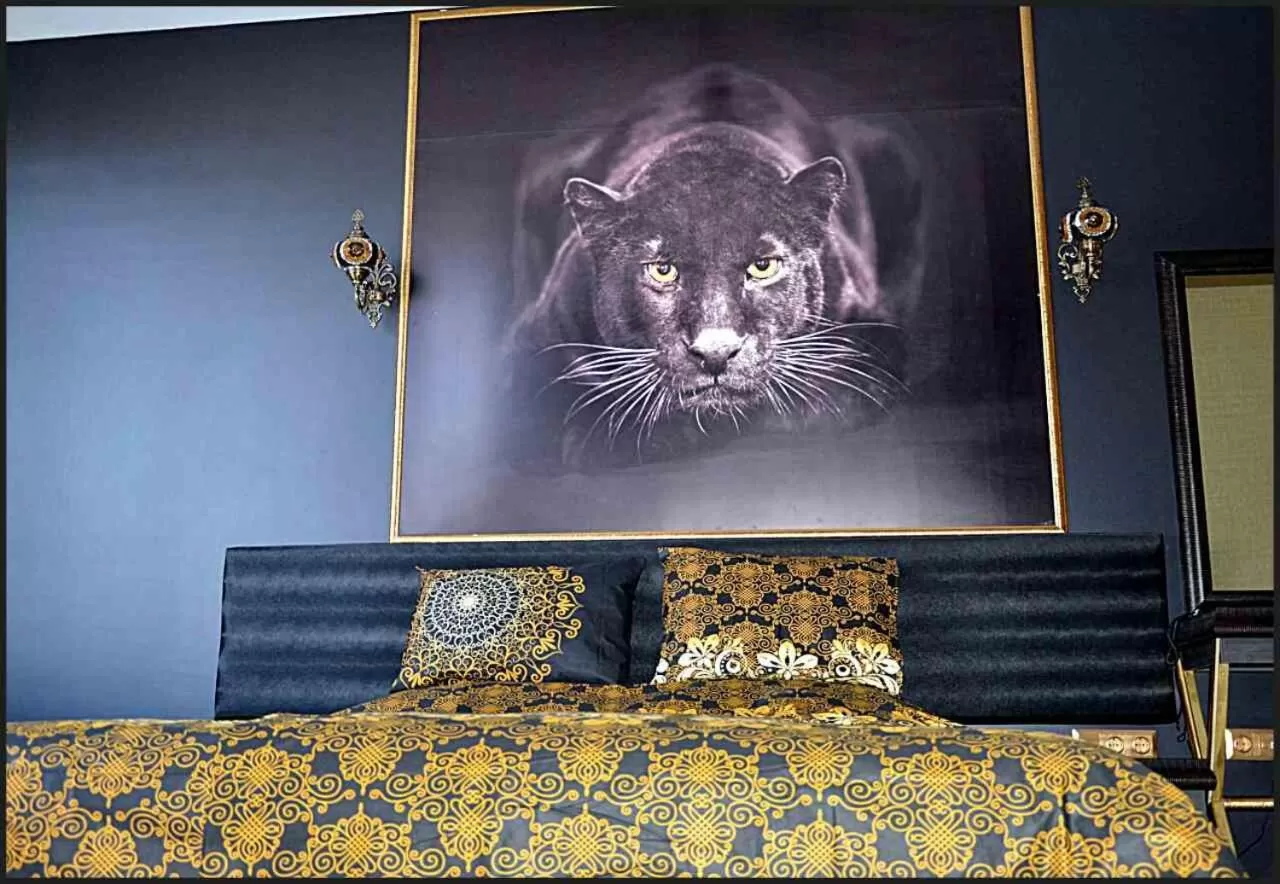 Bedroom, Bed in Hotel Africa