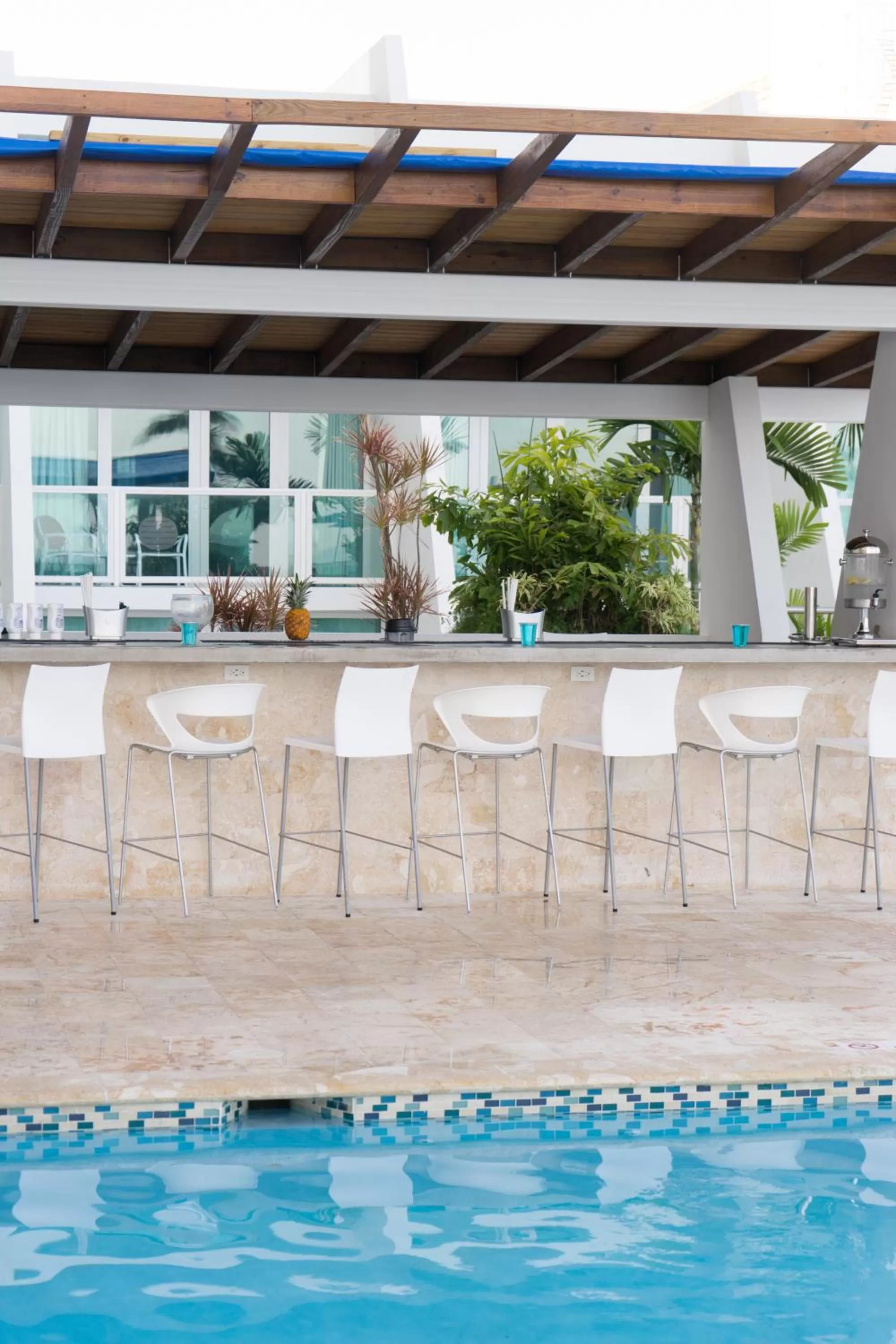 Area and facilities, Swimming Pool in OCEAN VIEW DELUXE SUITE: PVT. BEACH & POOL