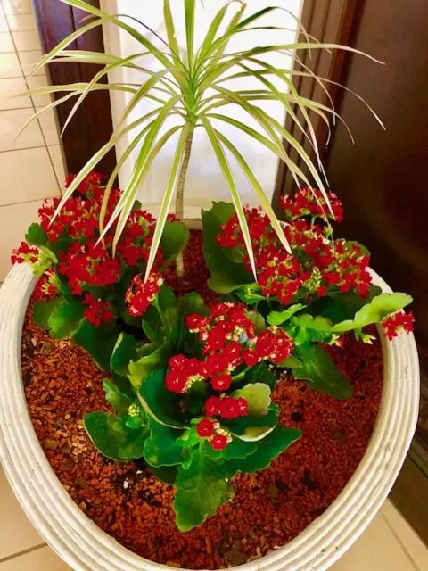 Decorative detail in Hotel-Marks-Garni