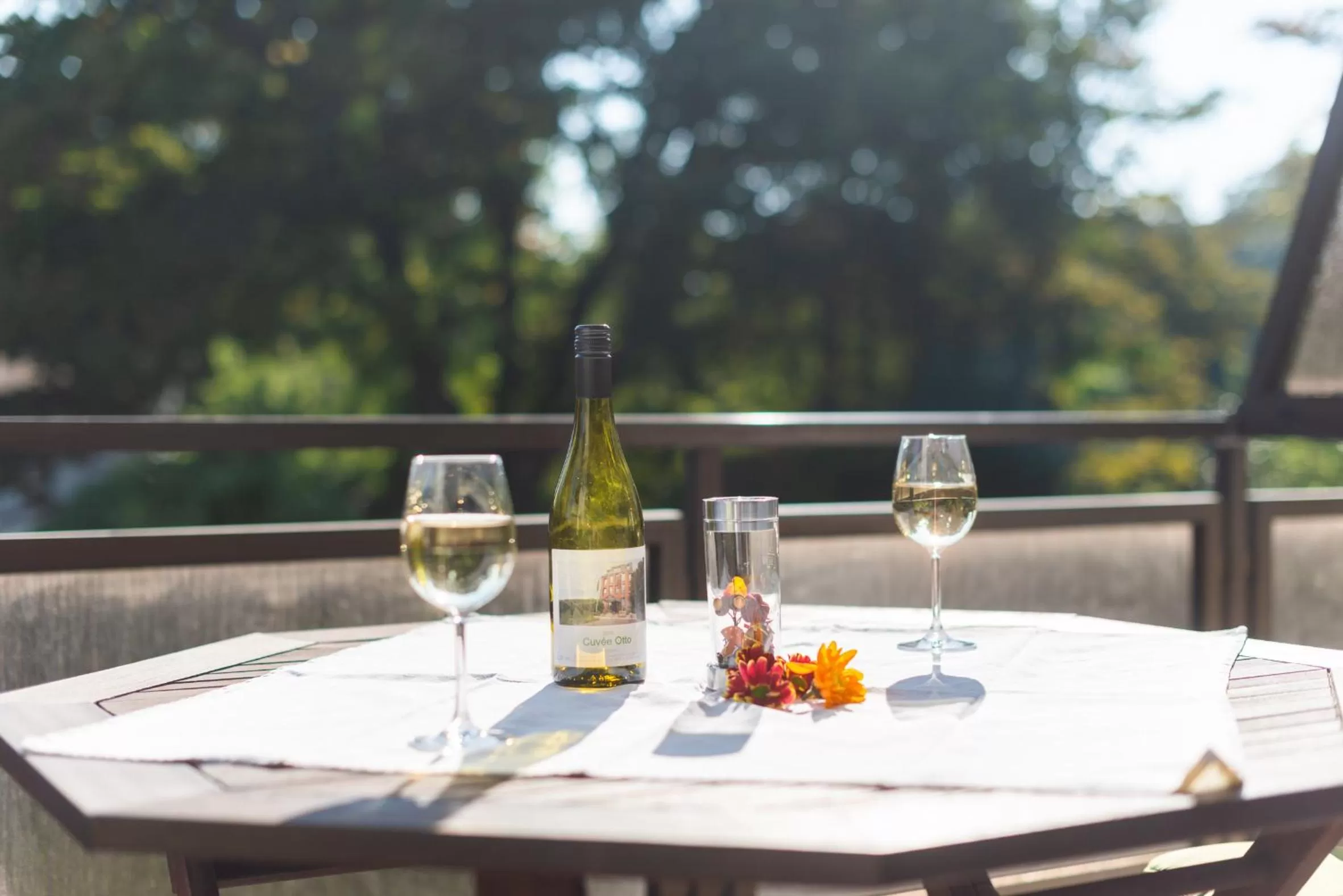 Balcony/Terrace in Hotel Haus am Zoo