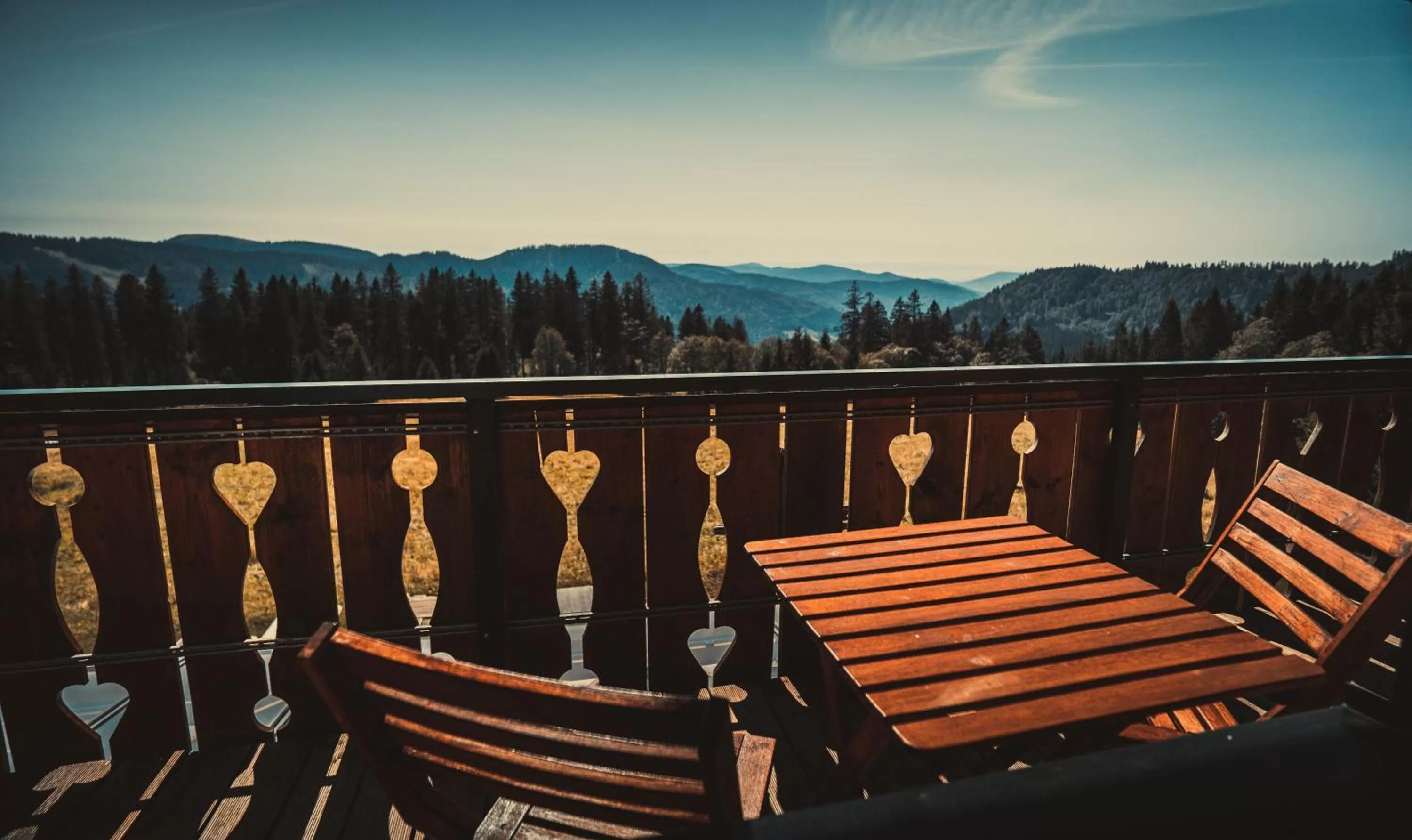 Mountain view in Berggasthof zur Todtnauer Hütte